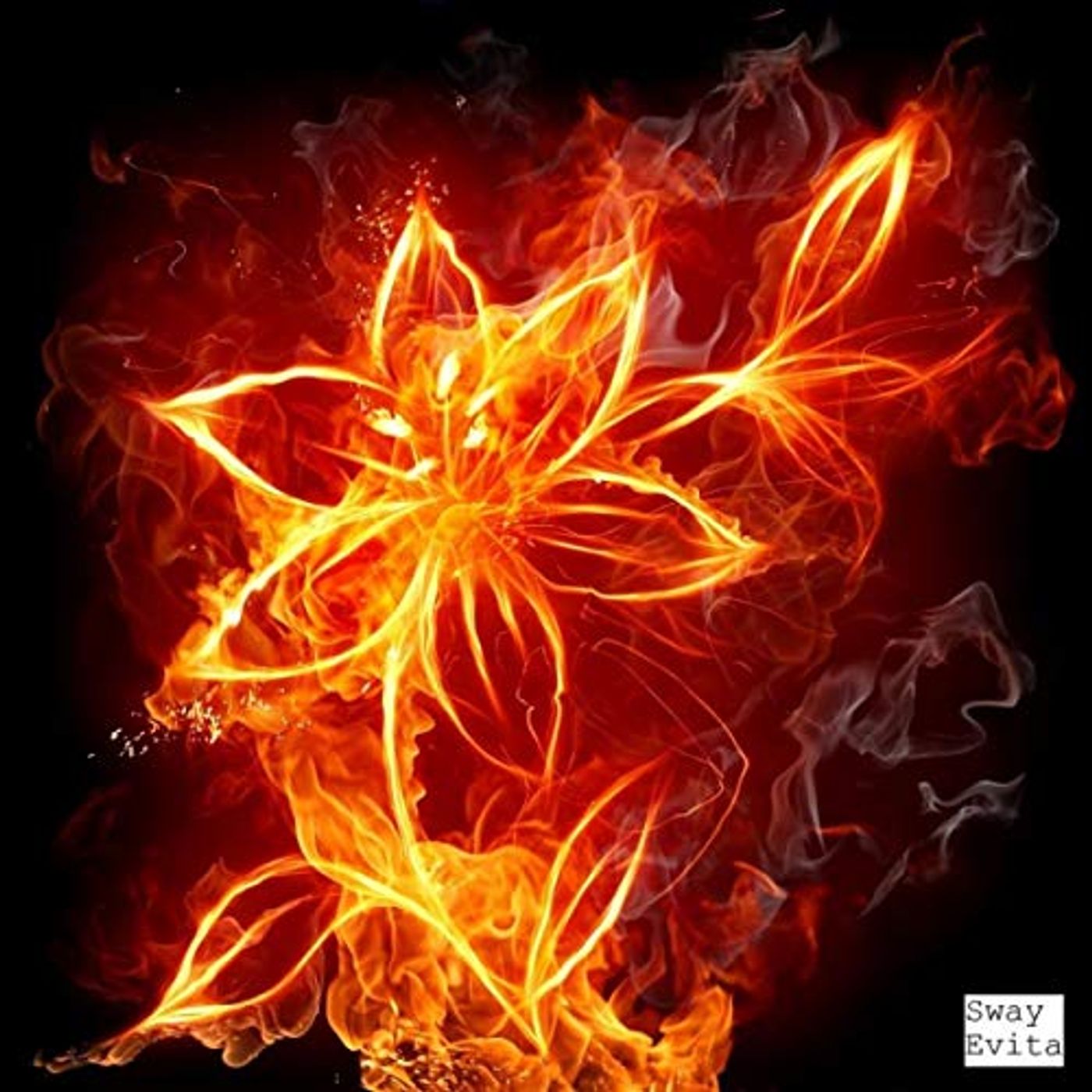 Evita\'s New Year \'s Eve selection