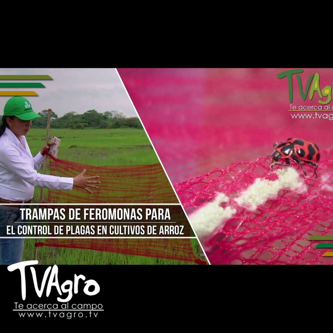TV AGRO