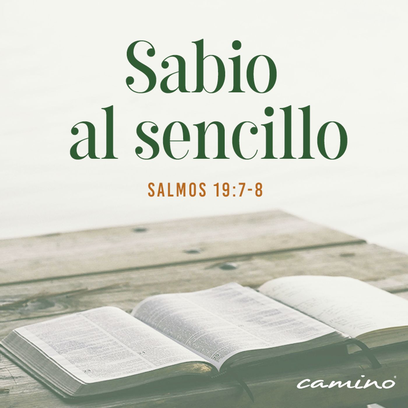 Oración 18 de diciembre (Sabio al sencillo) episode artwork