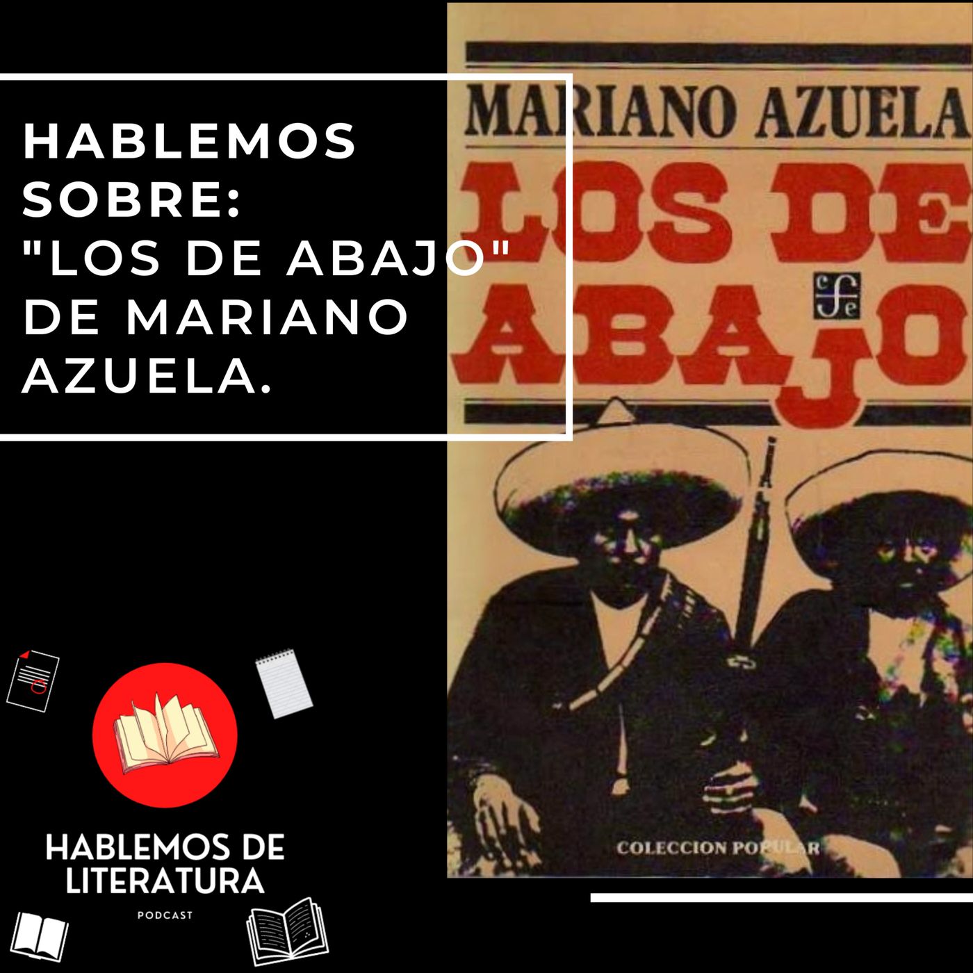 Hablemos De Literatura