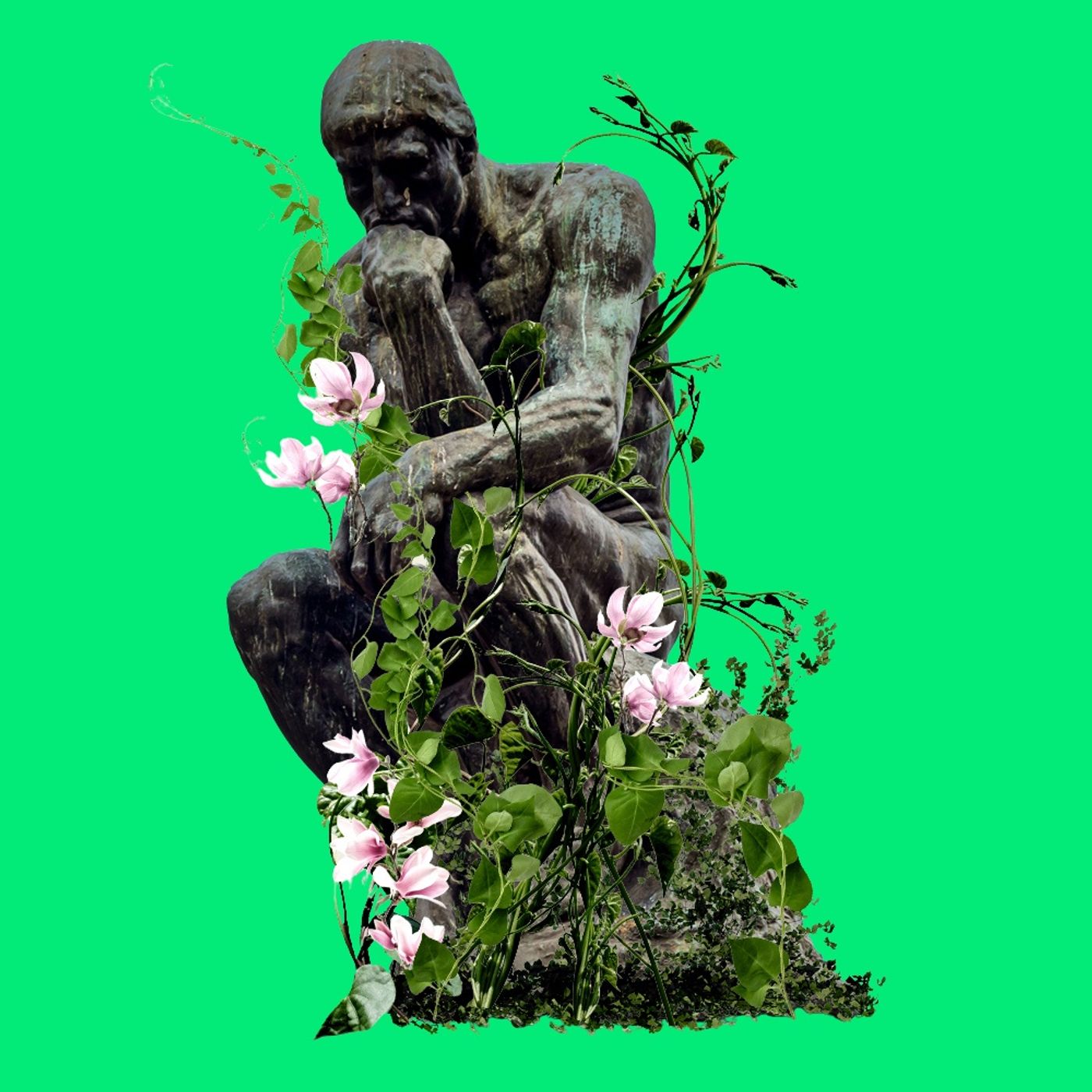 Et enkelt liv, en hel verden