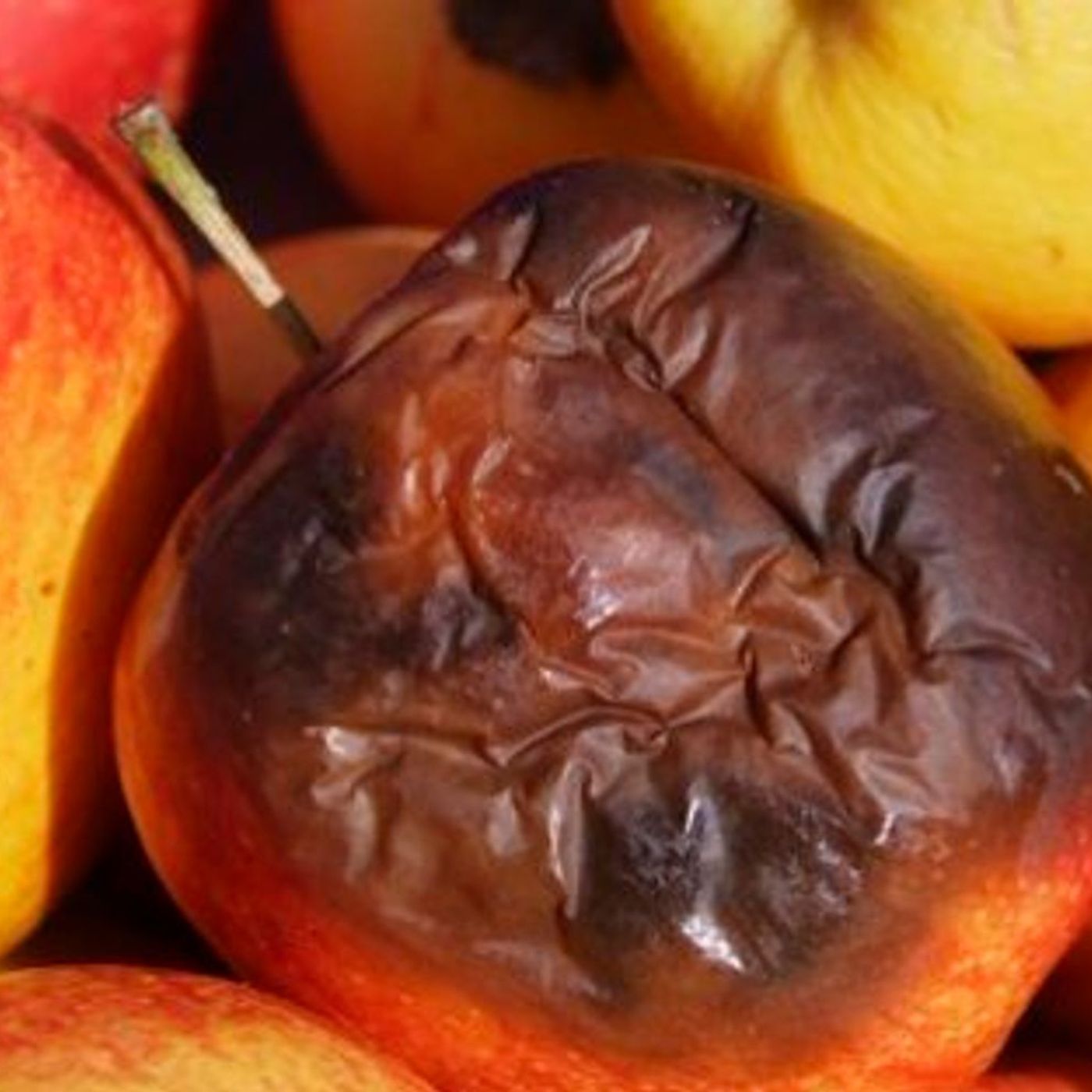 Historias de Miedo Julio 13 de 2022 COSAS PODRIDAS