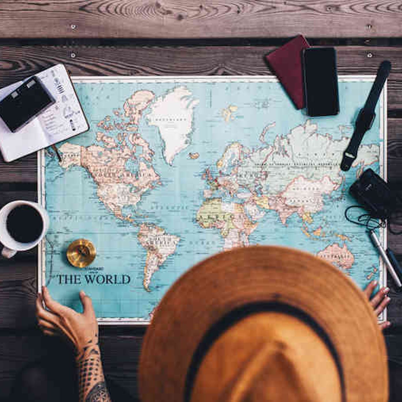 Copertina di I viaggi