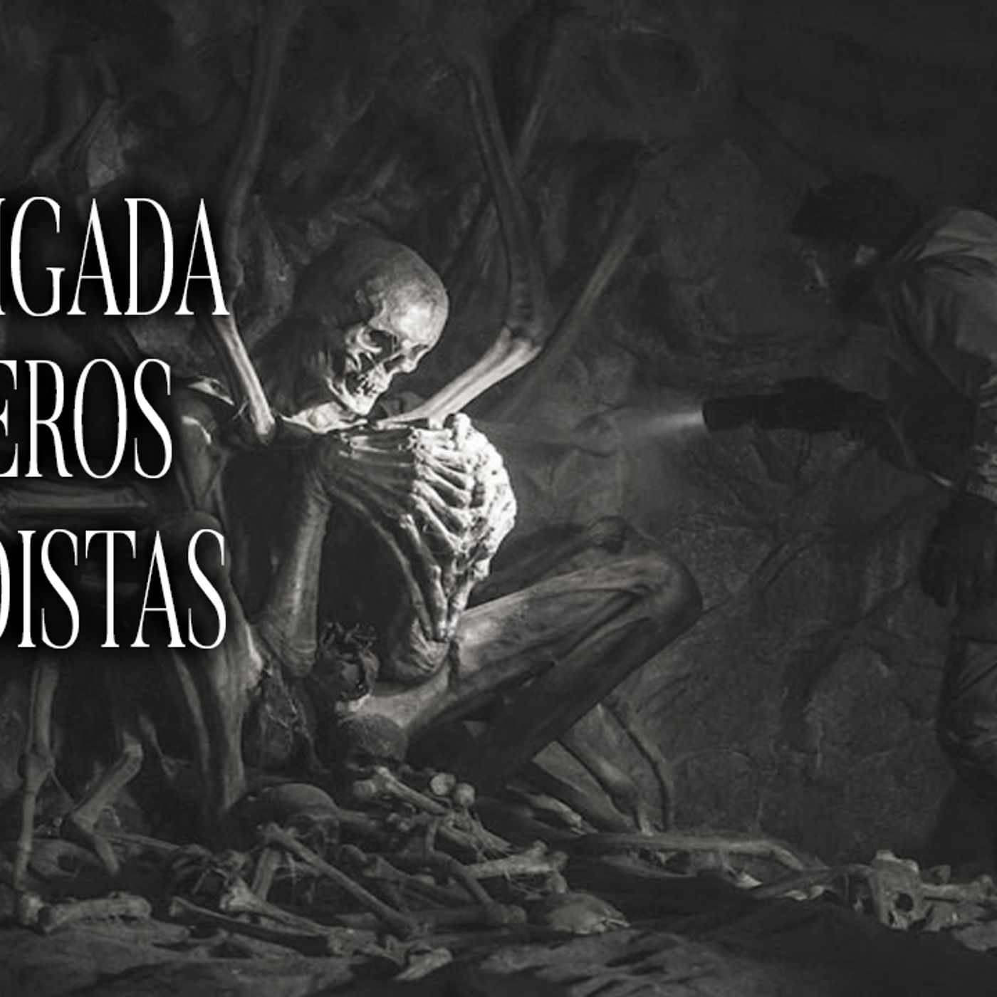 Esto Viví Mientras Era Oficial De La Brigada De Fusileros Paracaidistas  - Voces De La Noche