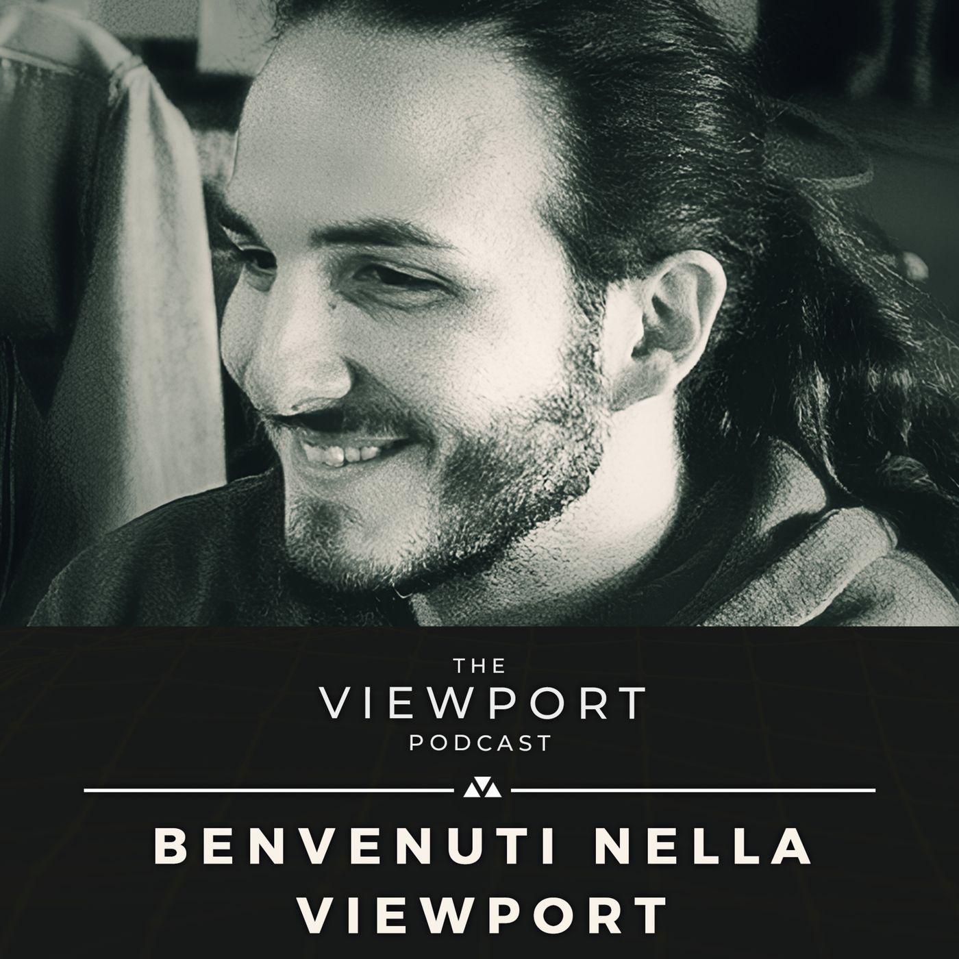 The Viewport Podcast
