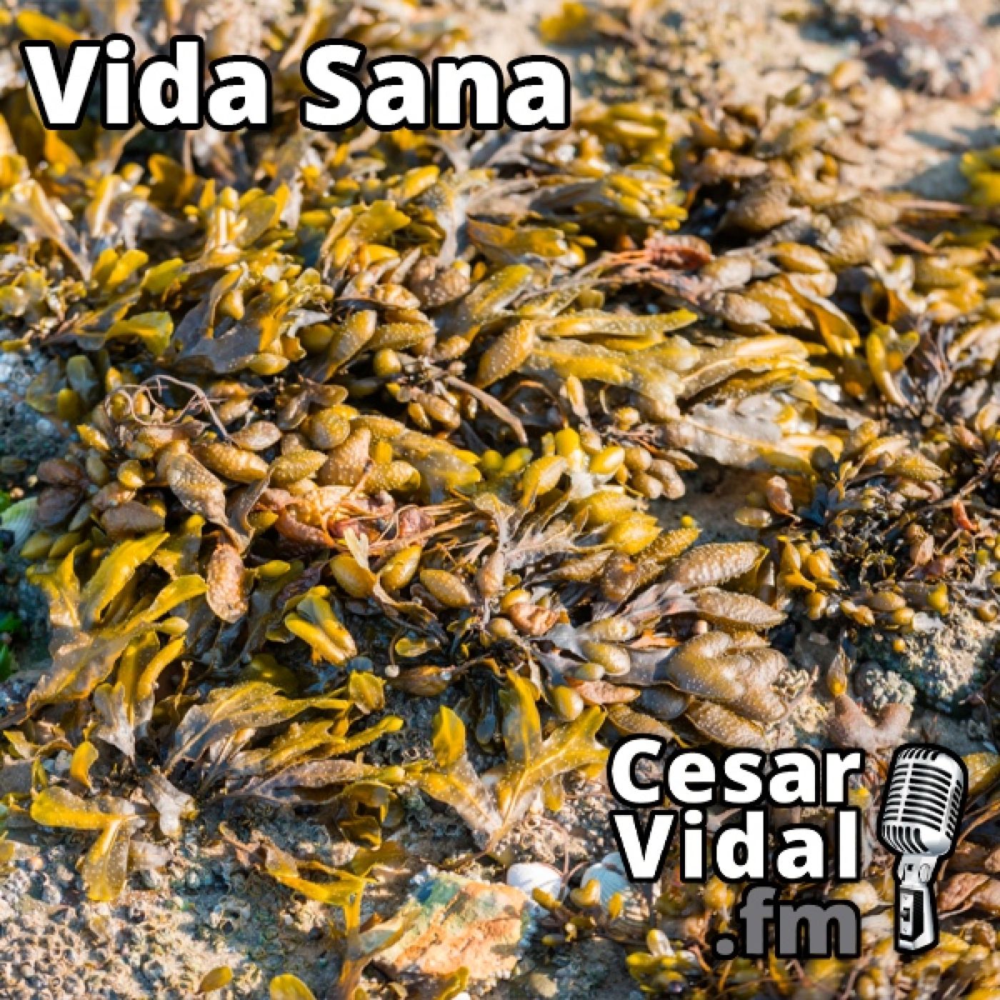 La Voz de César Vidal