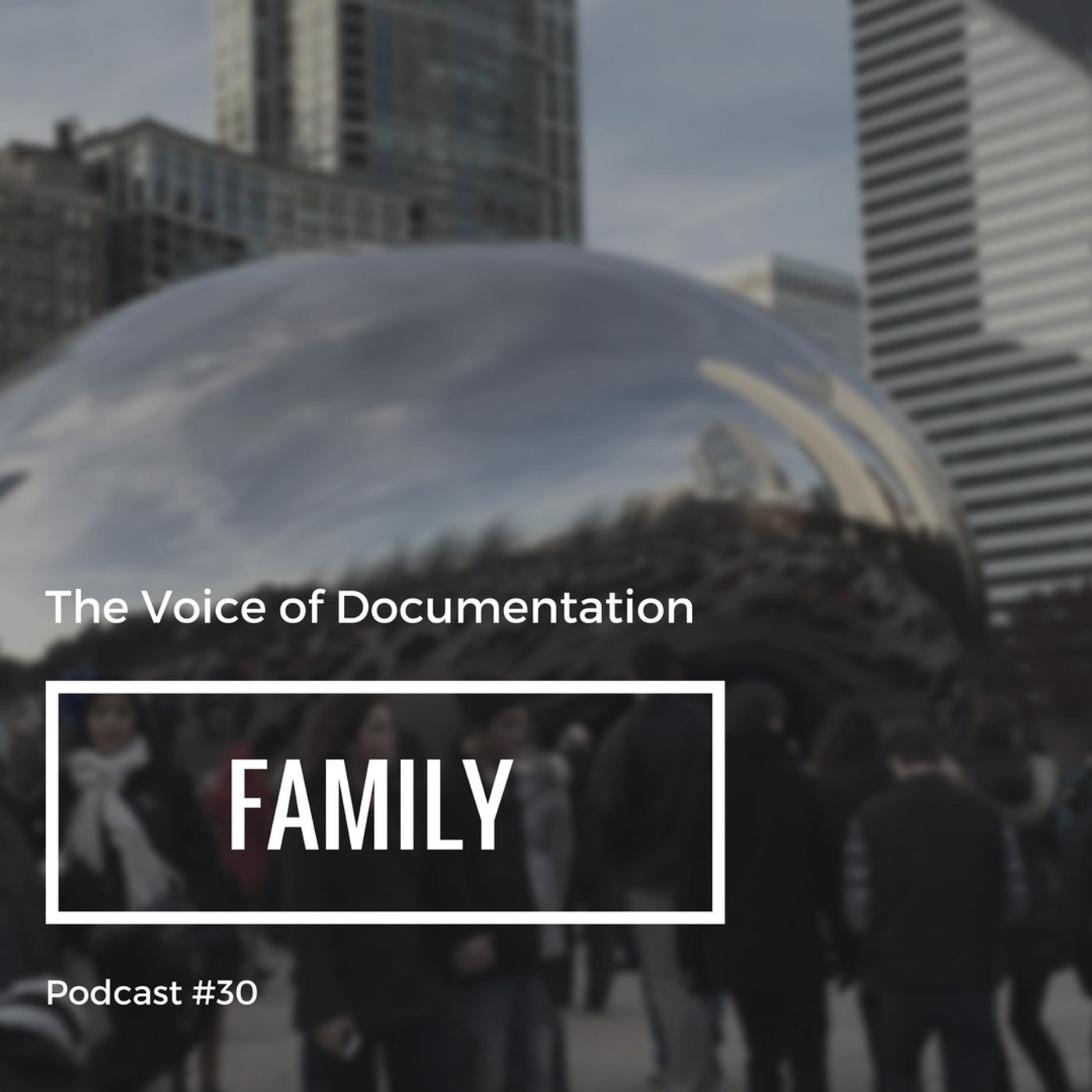 The Voice Of Documentation