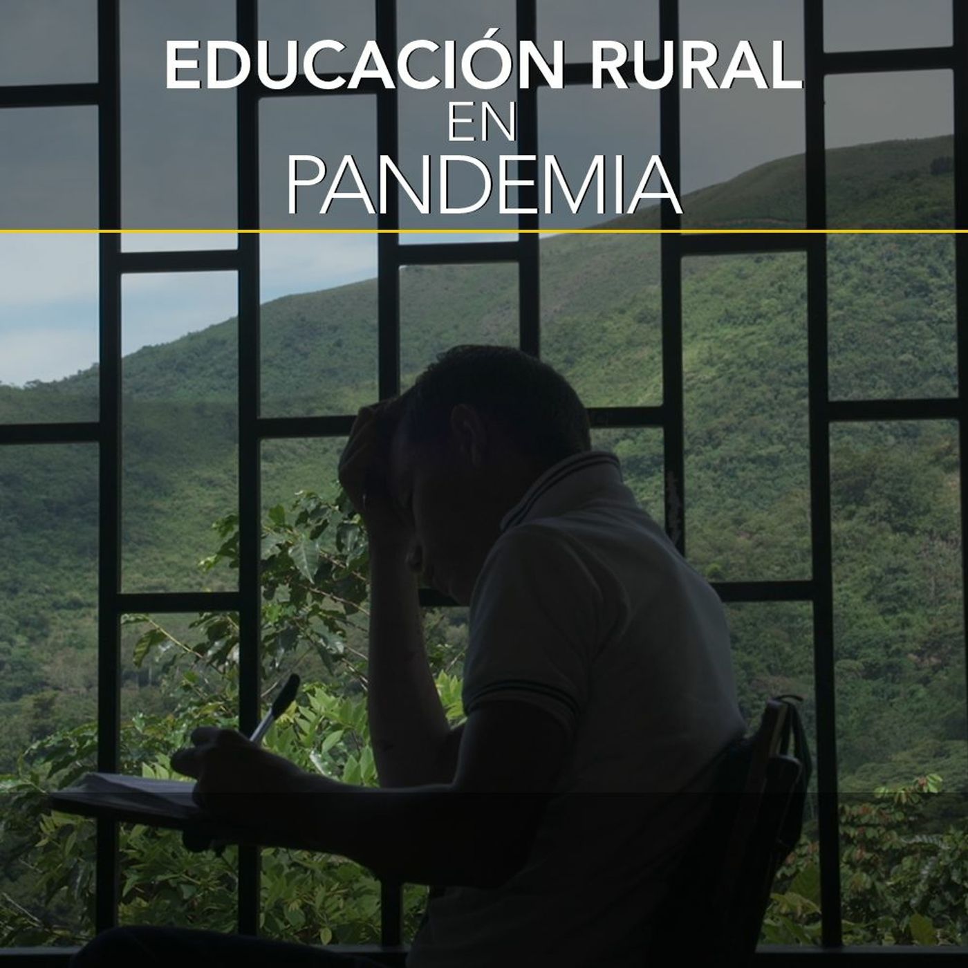 Educación rural en pandemia Desafíos RCN-Javeriana episode artwork
