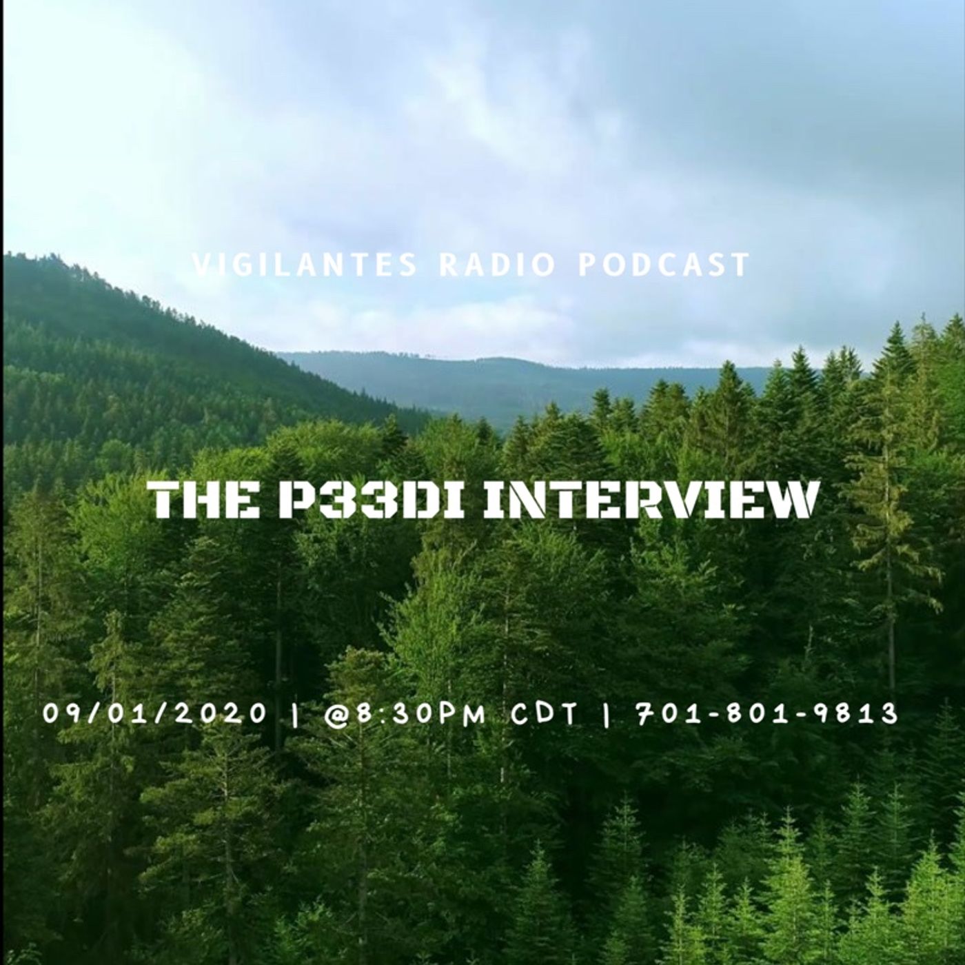 The p33di Interview.