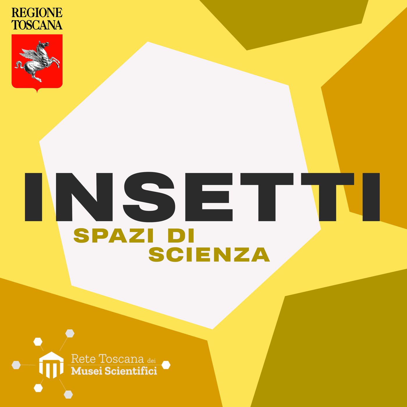 02 Seconda Stagione - Spazi di Scienza - Insetti episode artwork