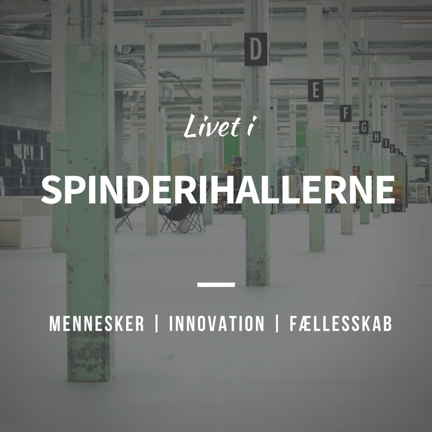 Livet i Spinderihallerne af Claus Haargaard