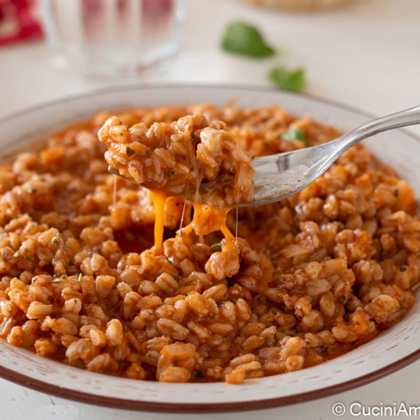 Farro risottato al pomodoro