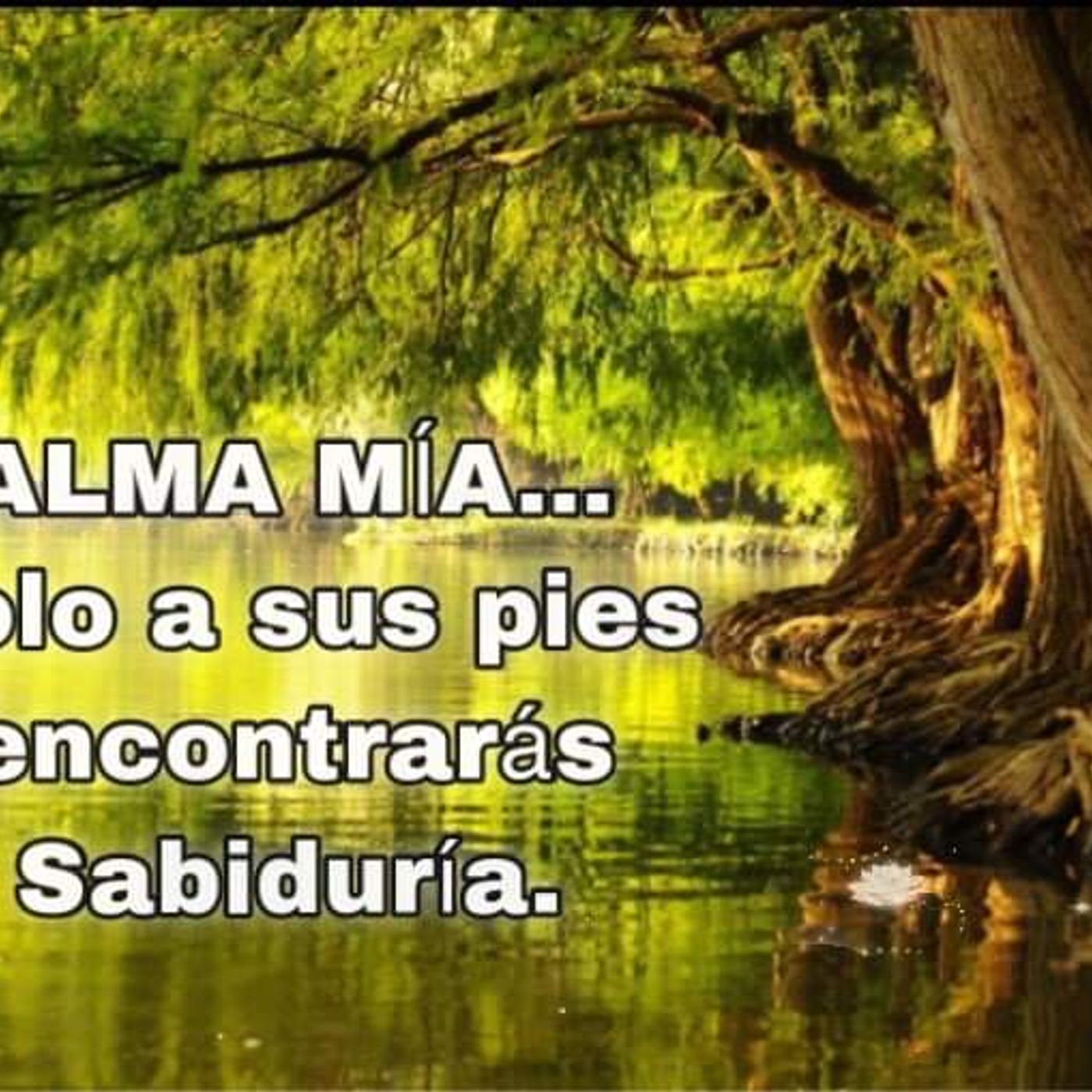 Alma Mía