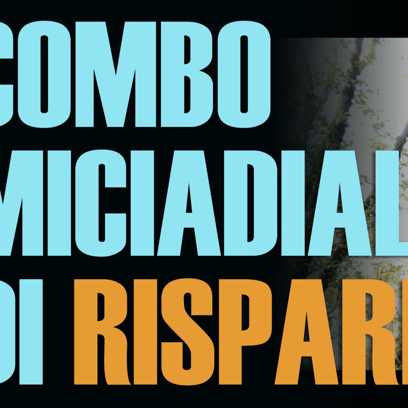 La COMBO micidiale che uso per RISPARMIARE
