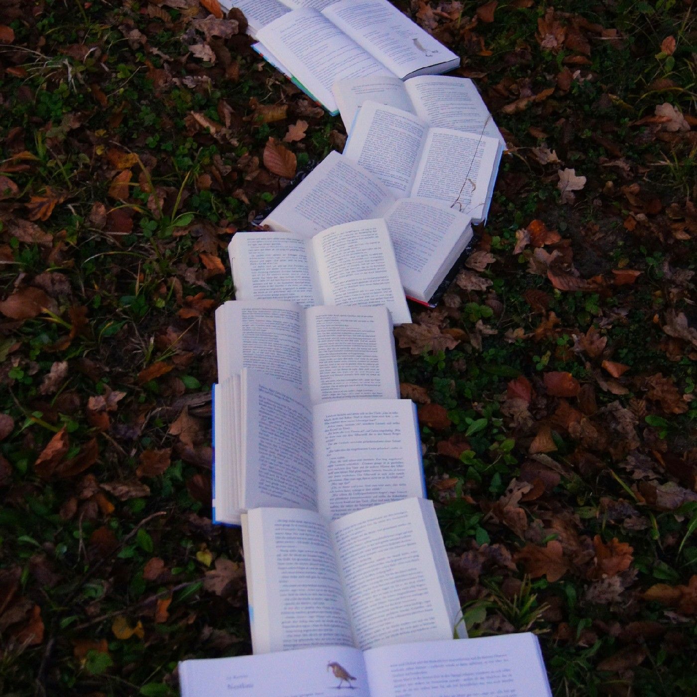 "Brújulas, cadenas y camino"