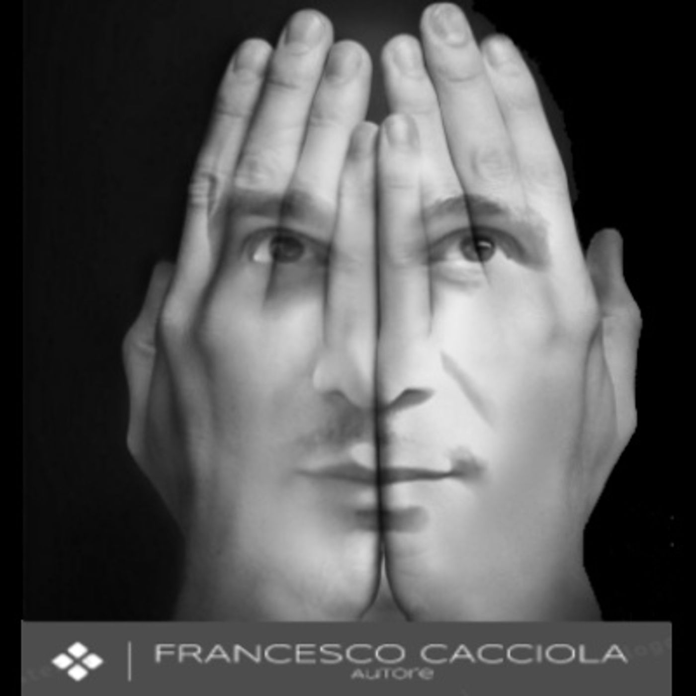 Copertina di Silenzio Letterario