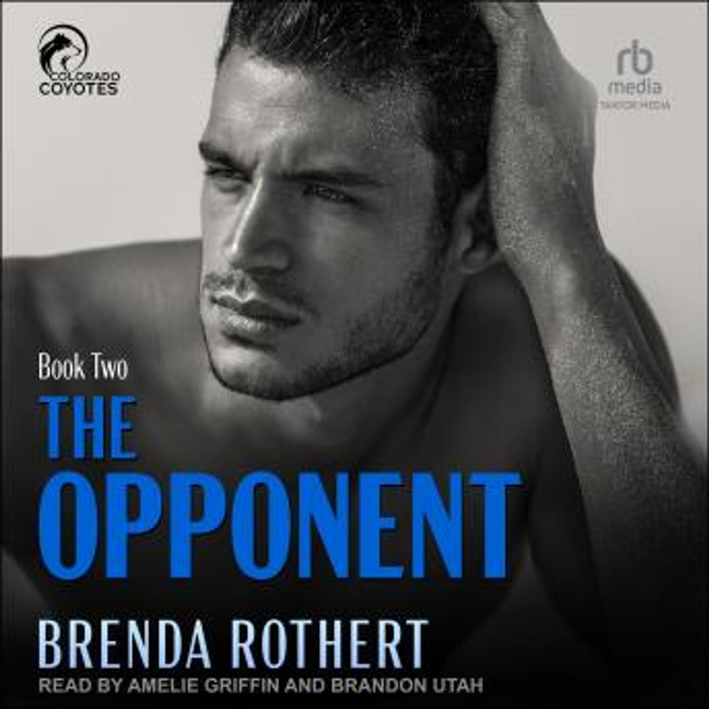 Discover the Best Audio Stories in Romance, Modern