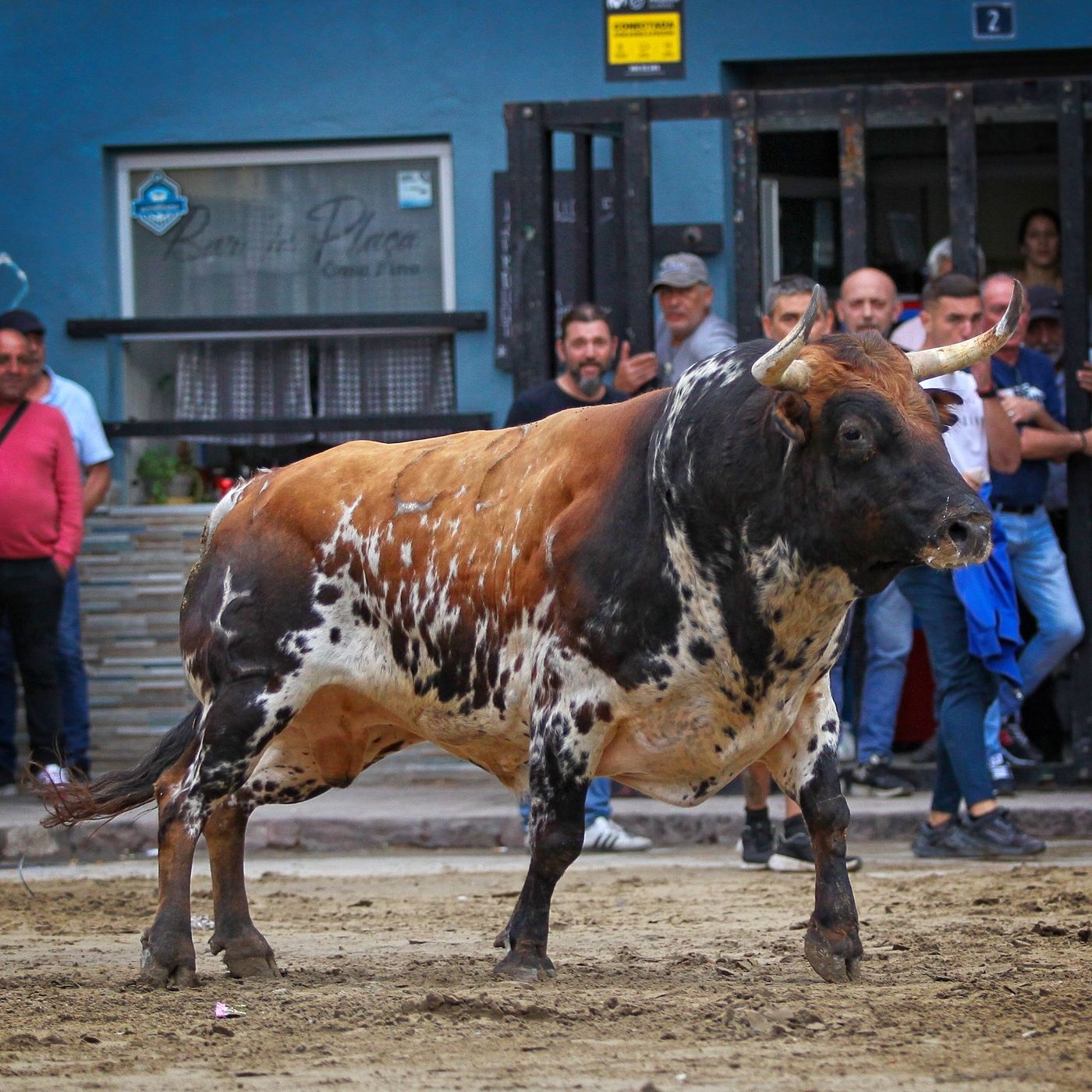 Hablemos de Toros