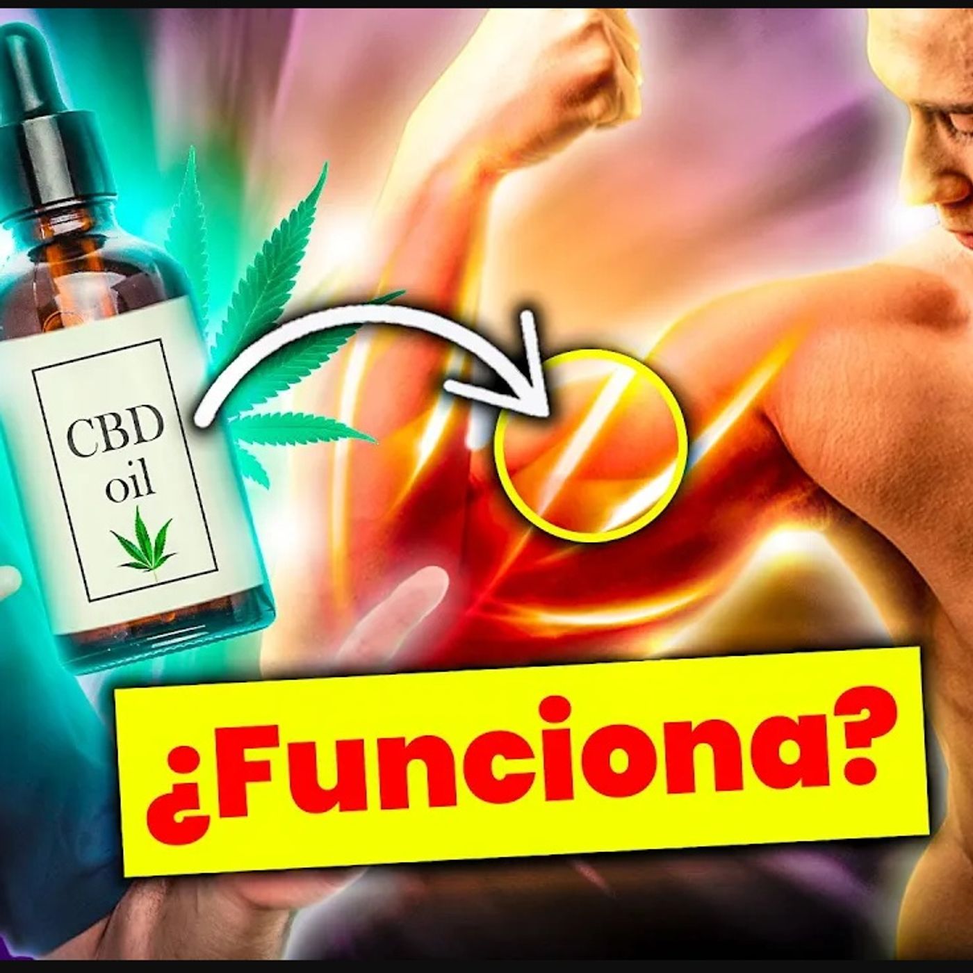 Esto Ocurre en tu MÚSCULO si tomas CBD