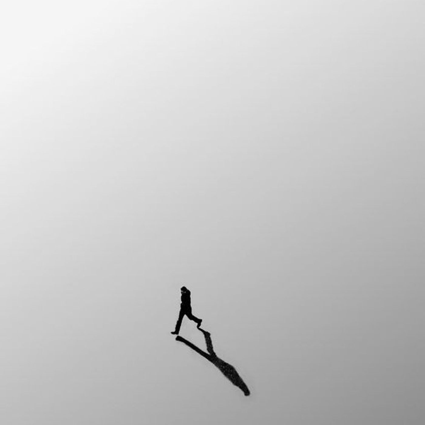 EL CIGARRO Y LA TORTUGA