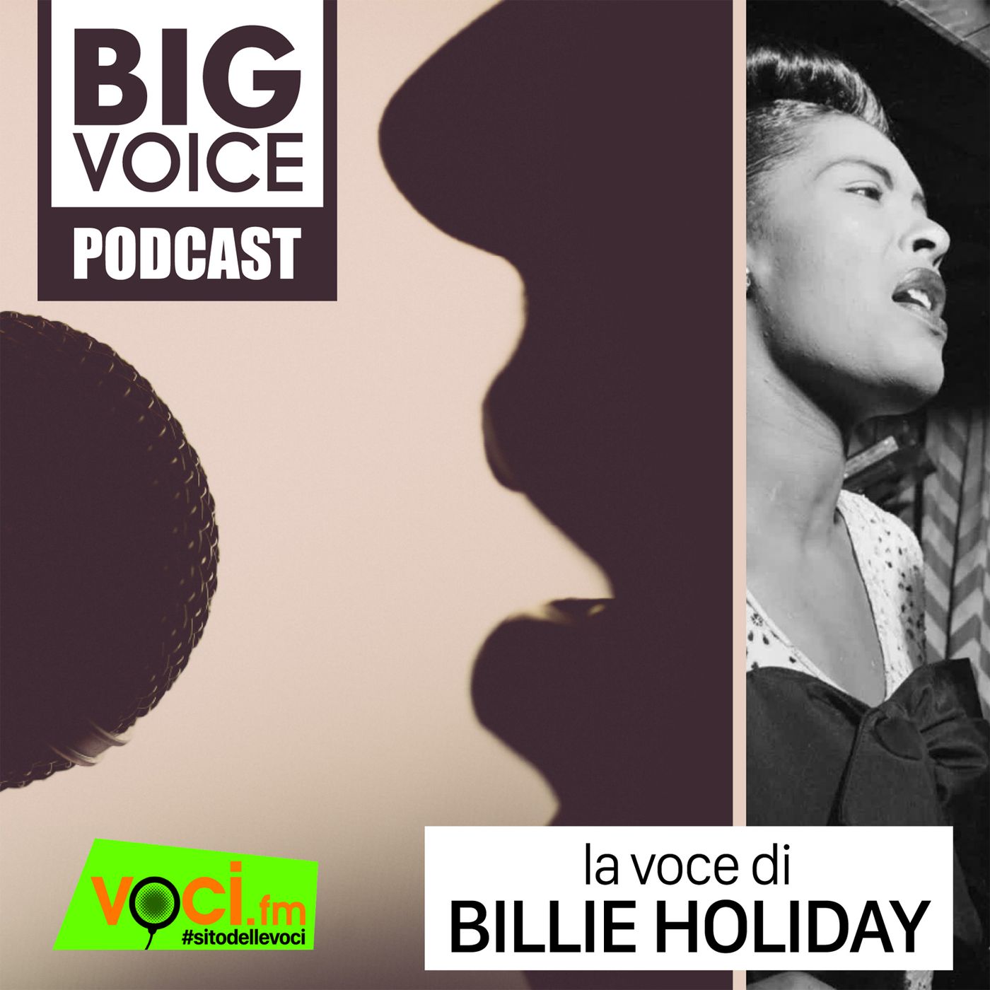BIG VOICE PODCAST: Billie Holiday - clicca play e ascolta il podcast episode artwork