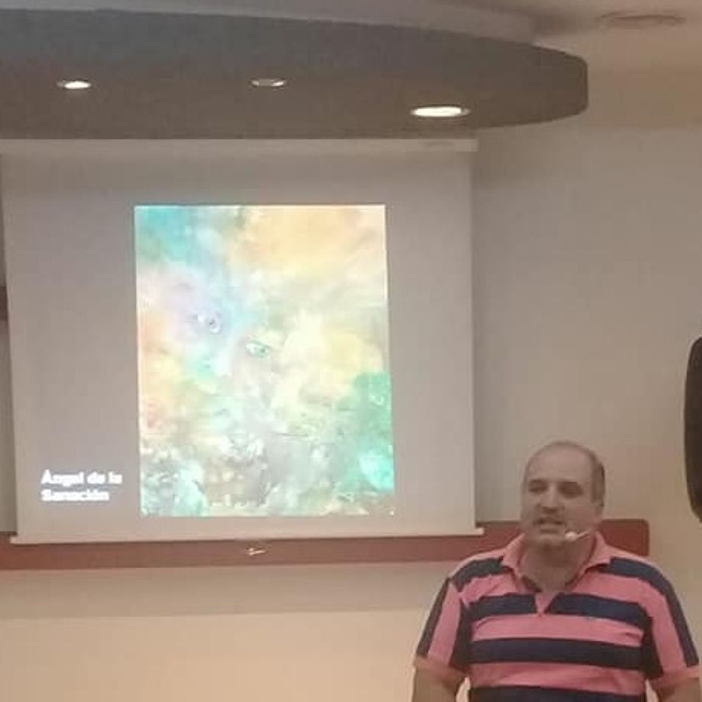 Conexion Pineal