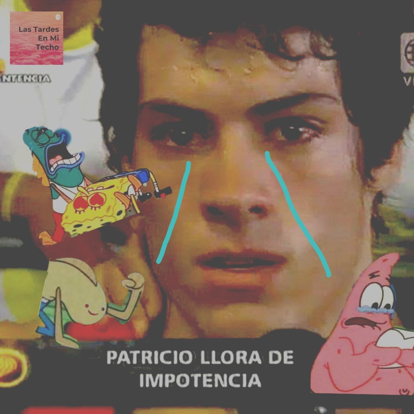 Las Tardes En Mi Techo