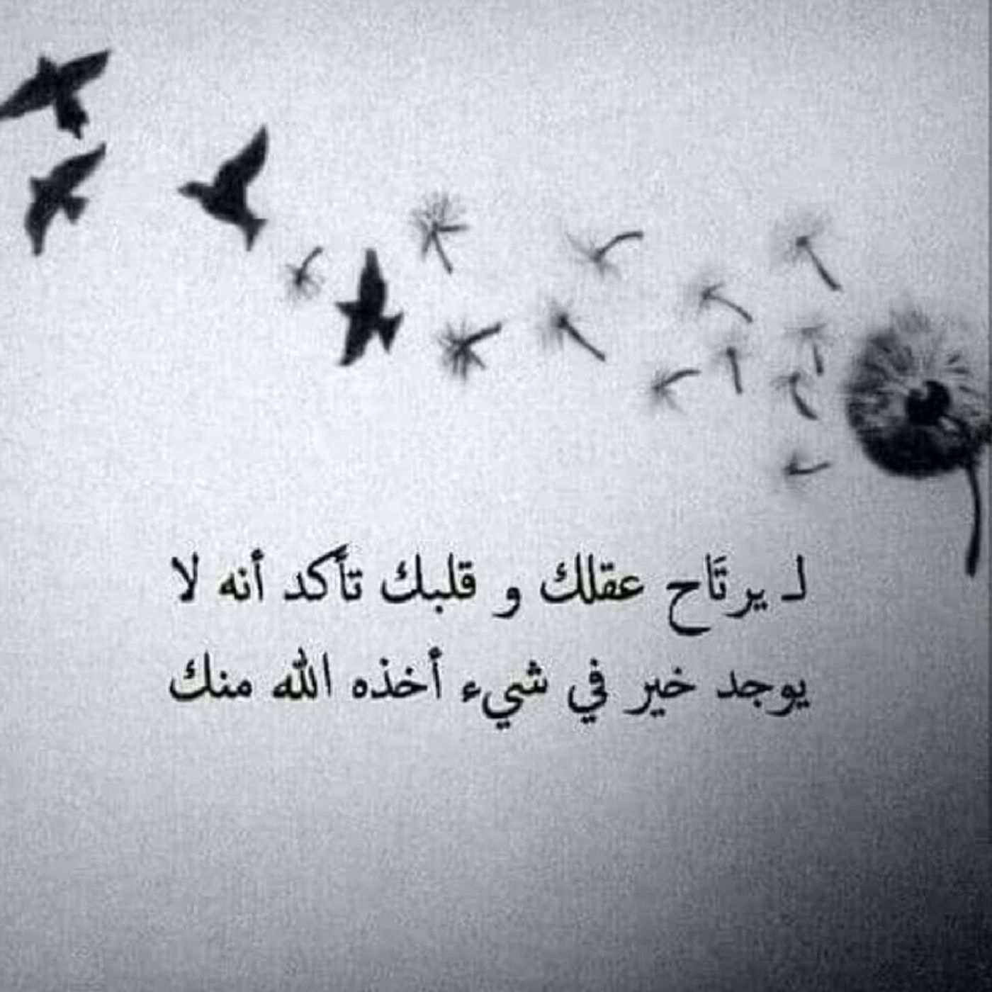 نشيد♡ تنهد أيا صاح كي تستريح episode artwork