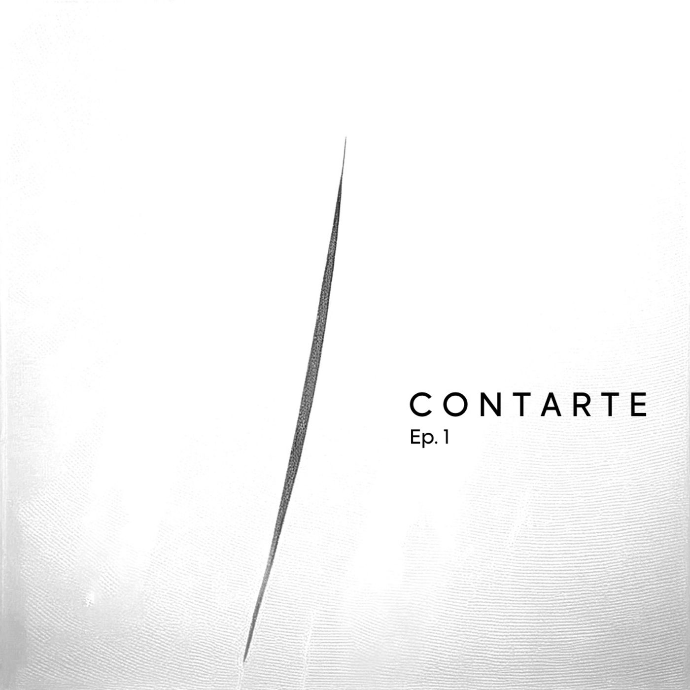 Contarte - Storie dai Musei di Feltre