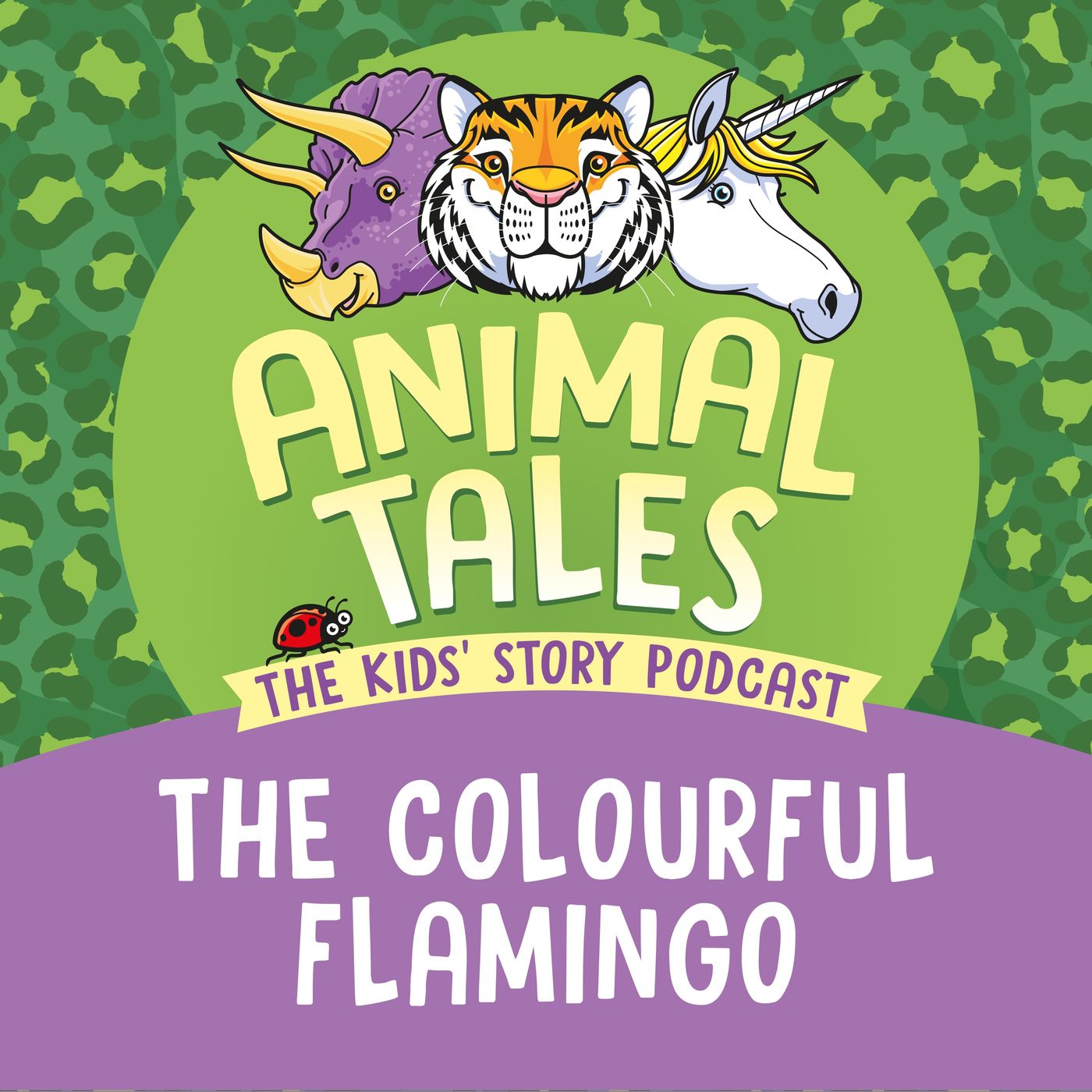 The Colourful Flamingo