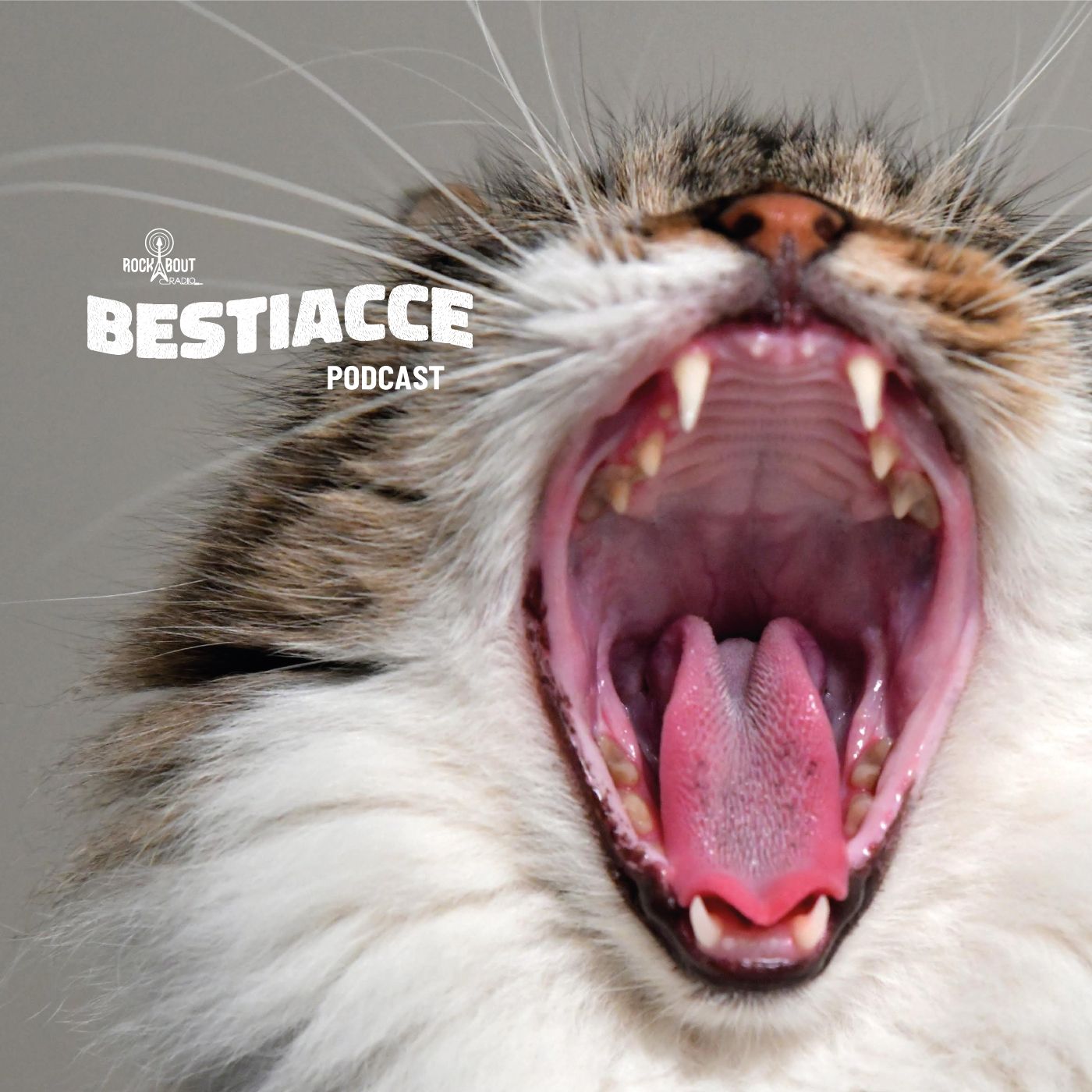 BESTIACCE