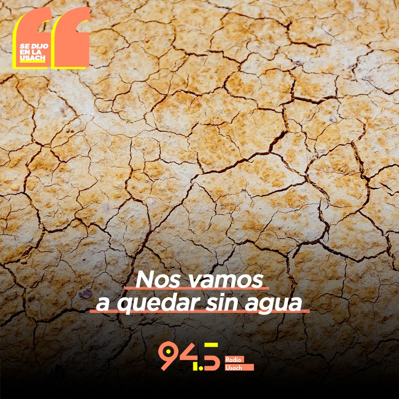 Se dijo en la Usach