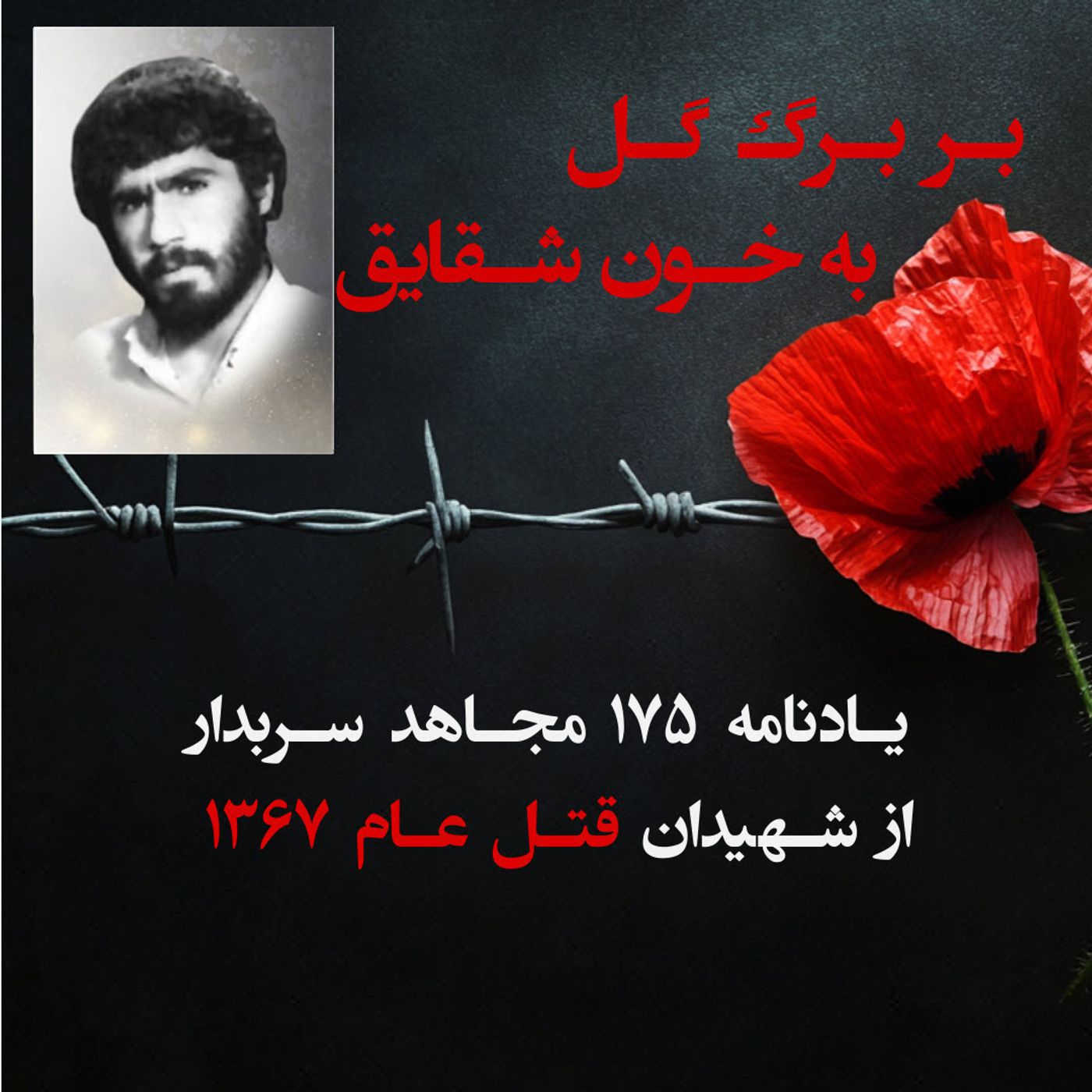 بربرگ گل به خون شقایق- جهانبخش پورباورصاد episode artwork
