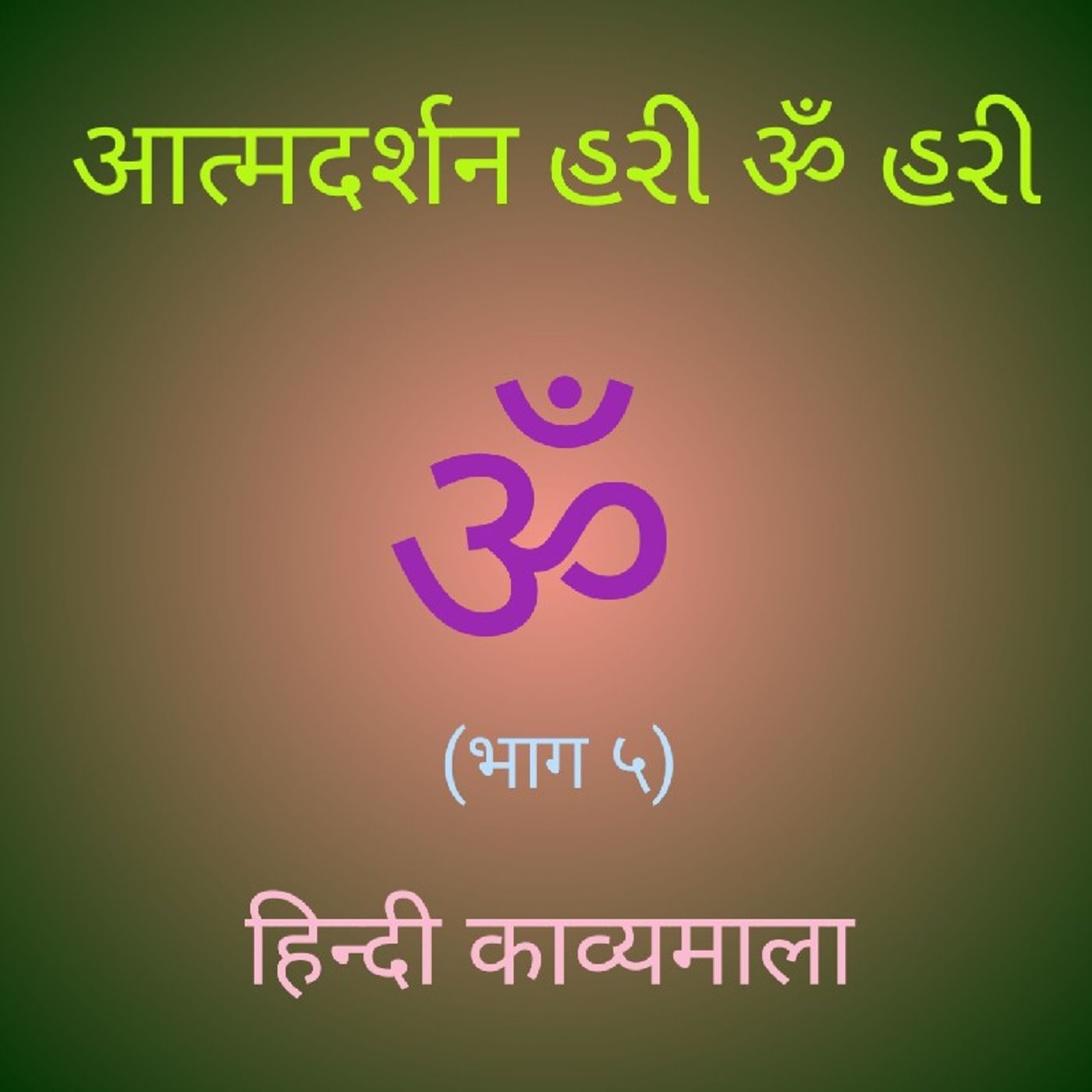 (५) हिन्दी काव्यमाला (५).mp3