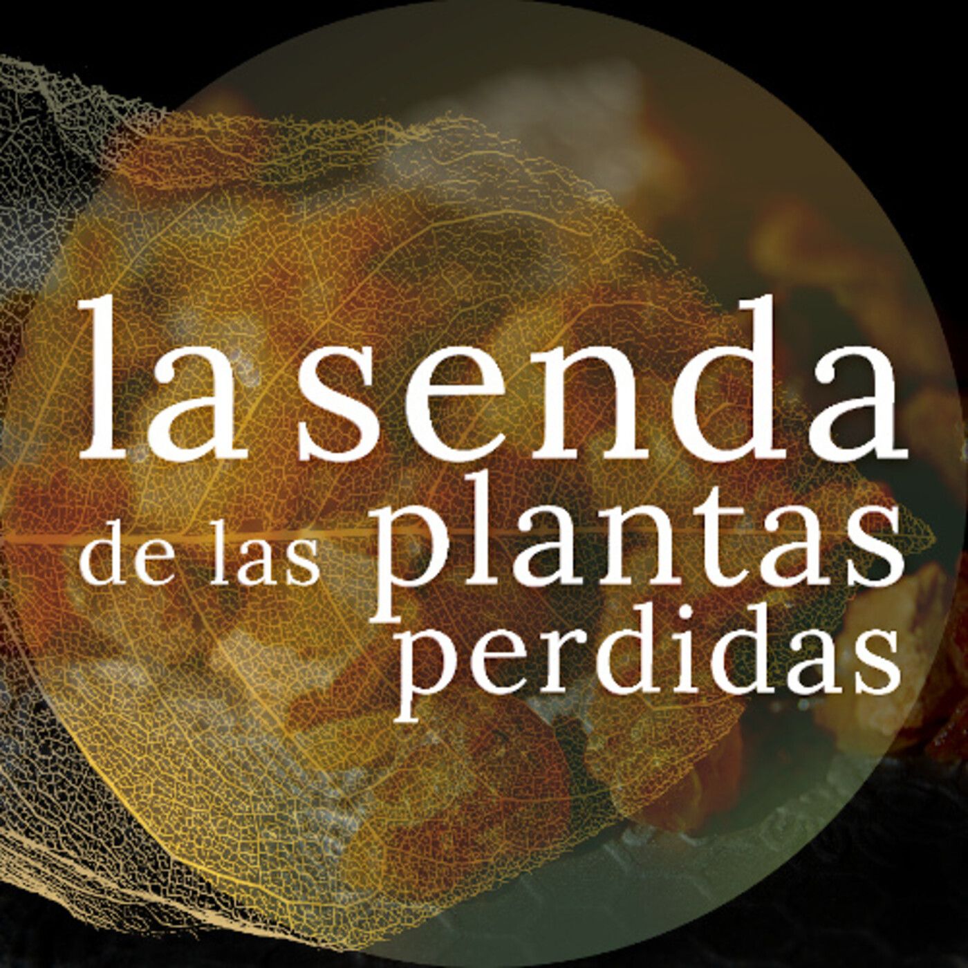 La Senda de las Plantas Perdidas
