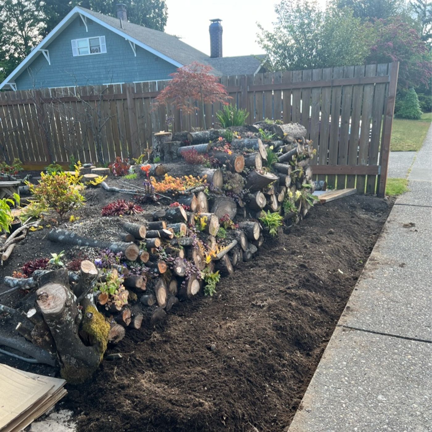 Episode 275 - Addressing stunted growth in gardens and houseplants