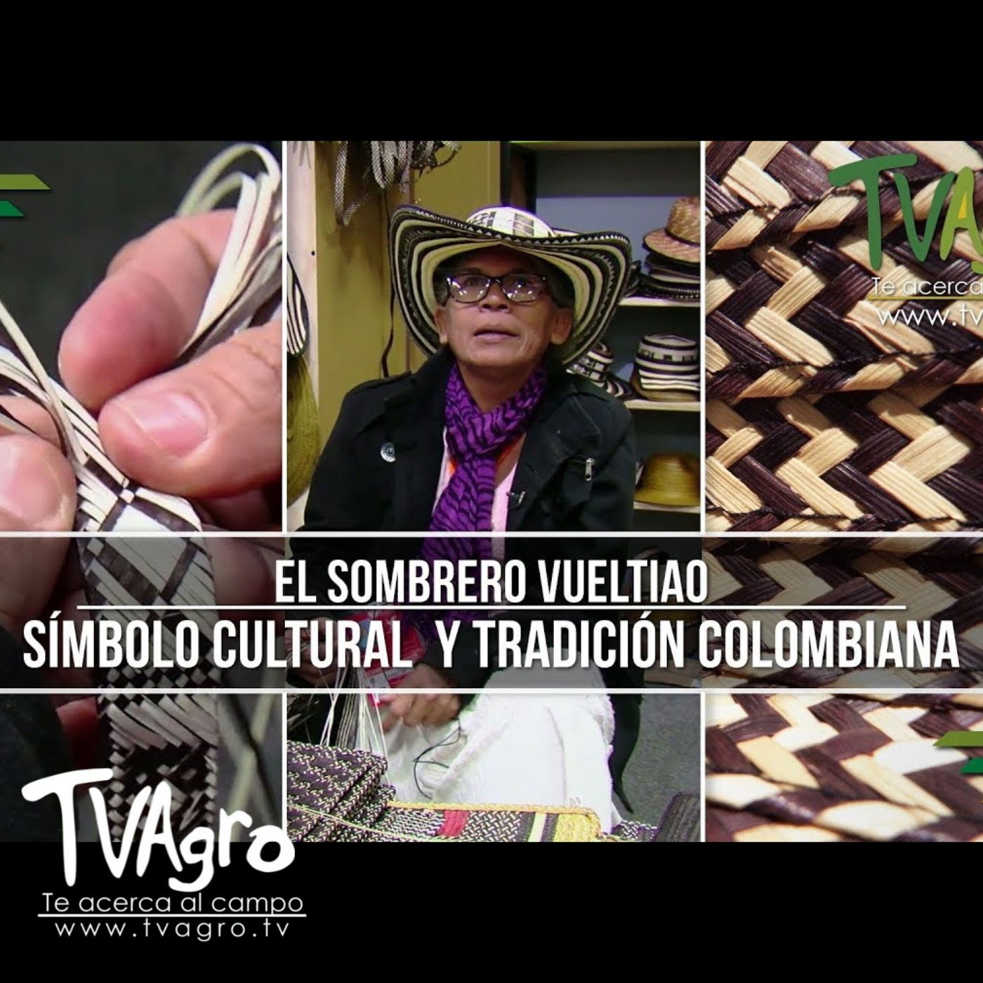TV AGRO