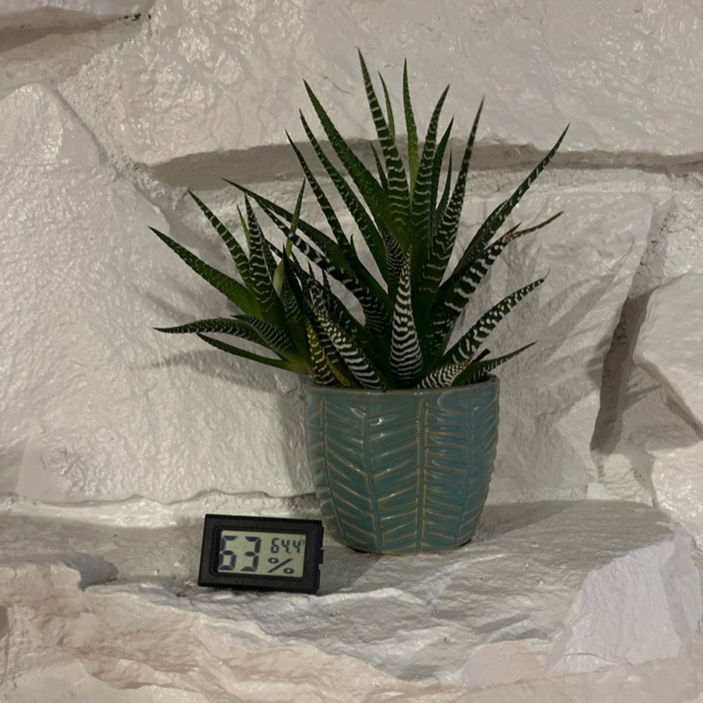 Episode 81 - How to Use a Hygrometer