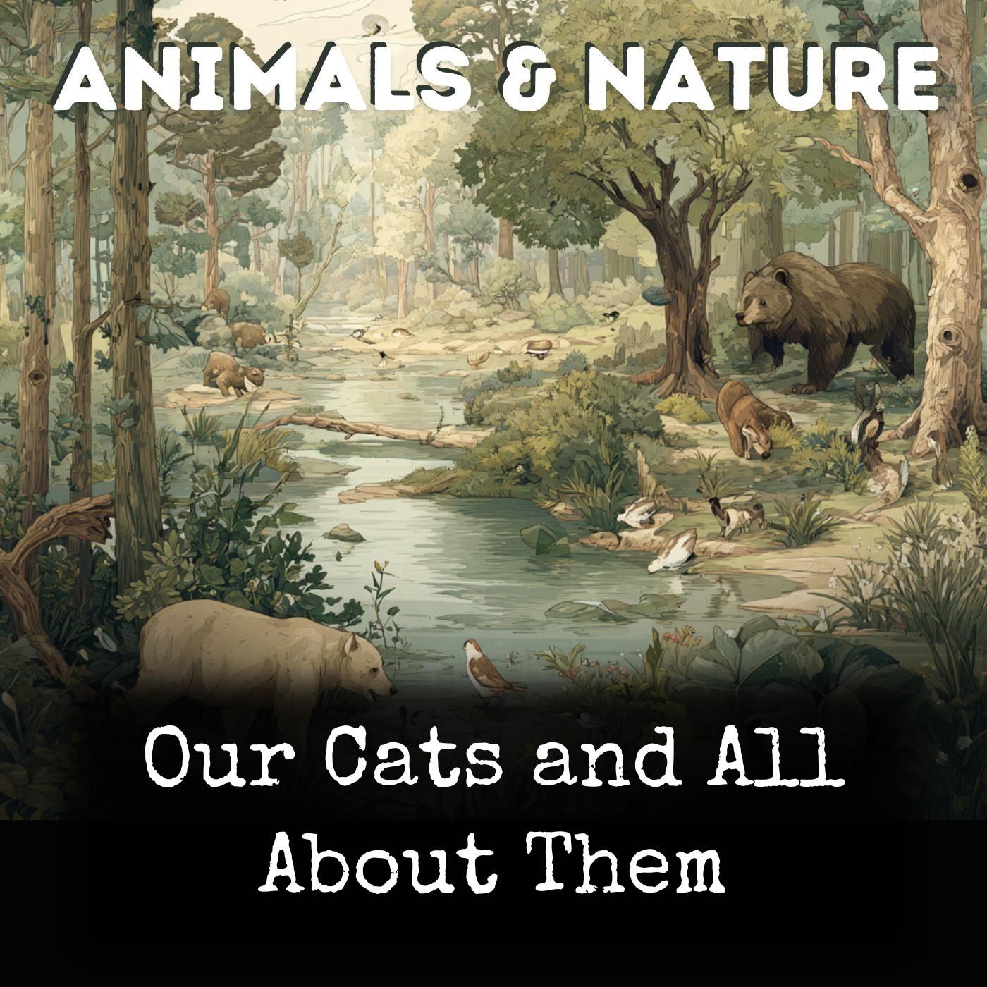 Our Cats and All About Them cover art