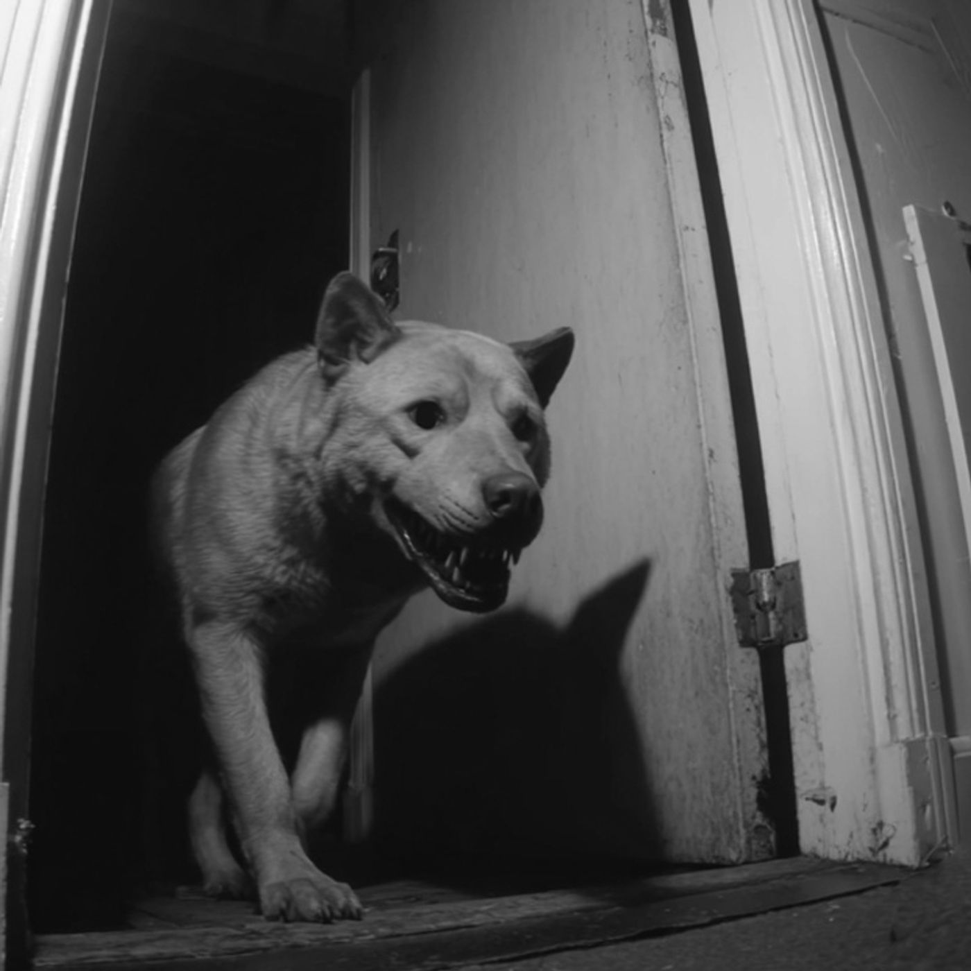 PERRO NAHUAL Sin Lengua Historias De Terror - REDE