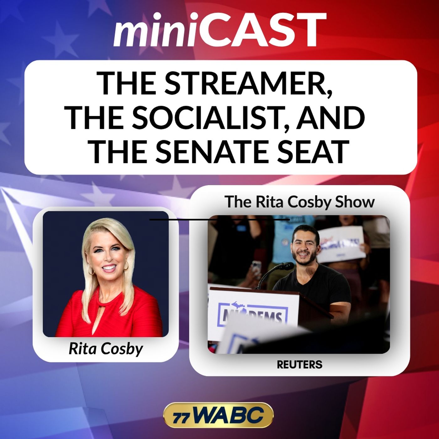 Rita Cosby: The Streamer, The Socialist, And The Senate Seat episode artwork