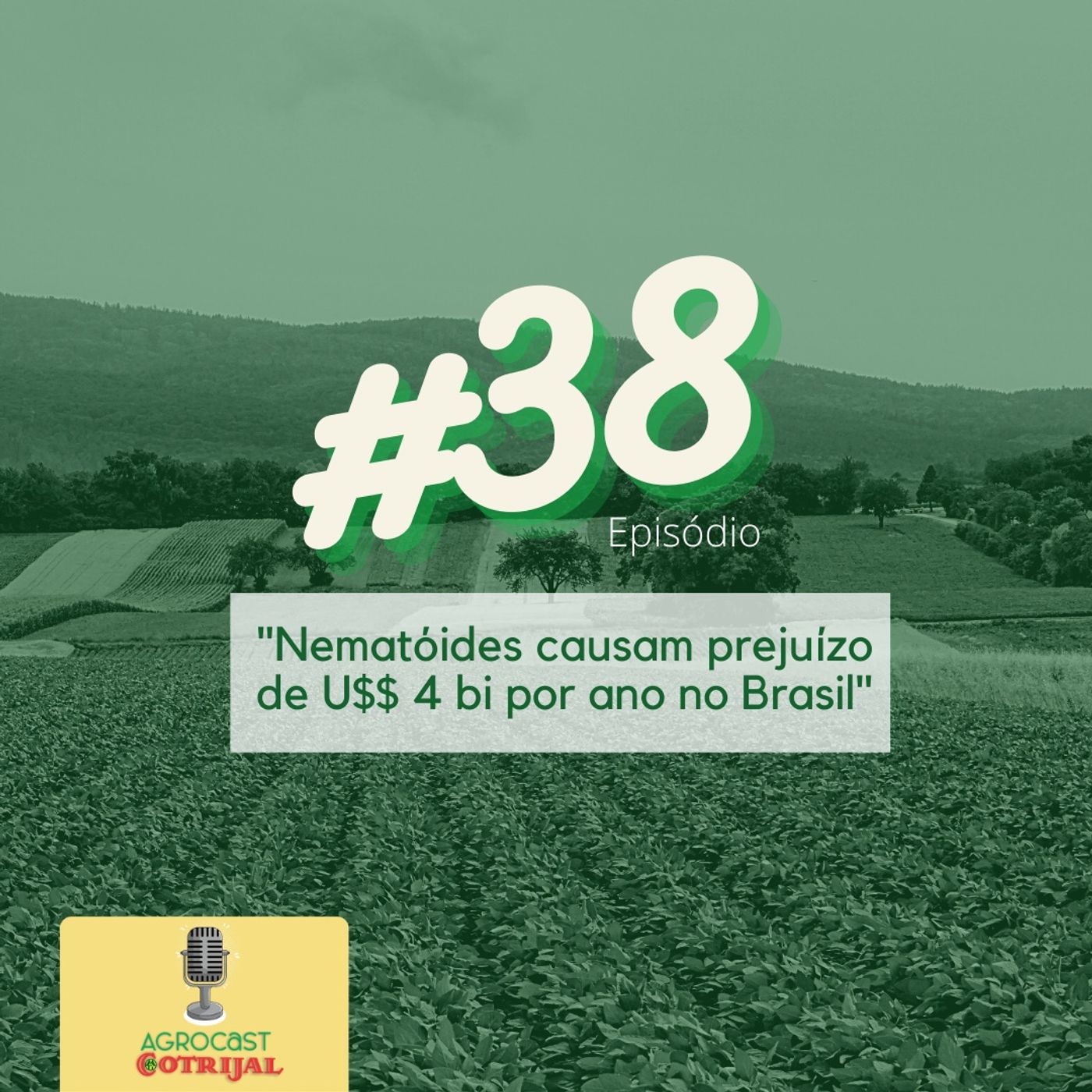 AgroCast Cotrijal
