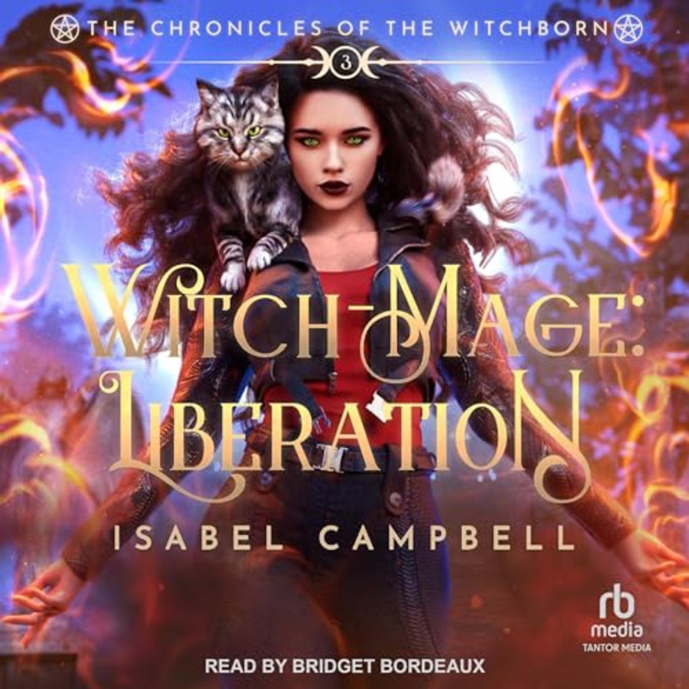 Stream Your Favorite Audiobooks in High Quality