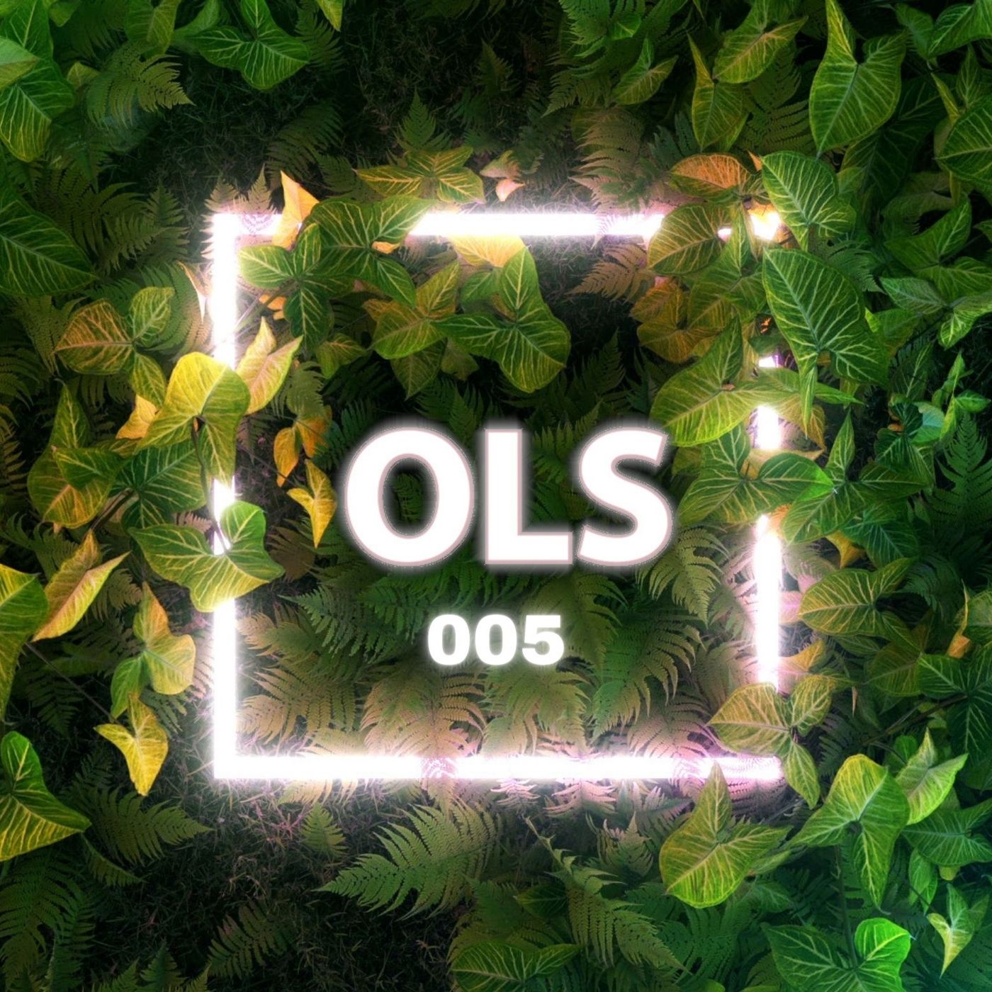 Organic Light Show