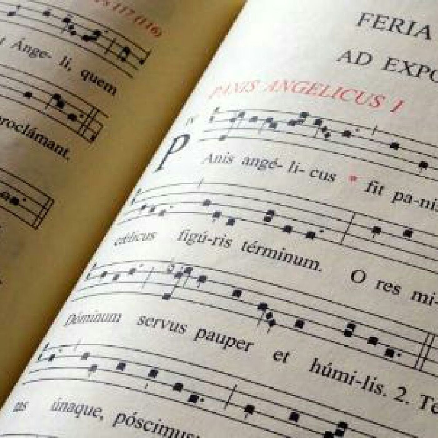 Cantemos Al Señor Un Canto Nuevo