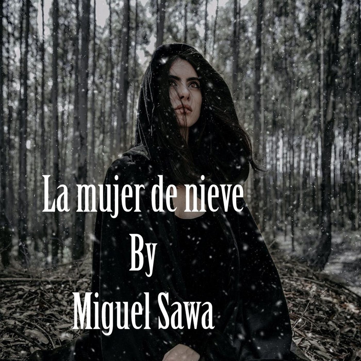 Narraciones De Un BURRO by Walter Saravia