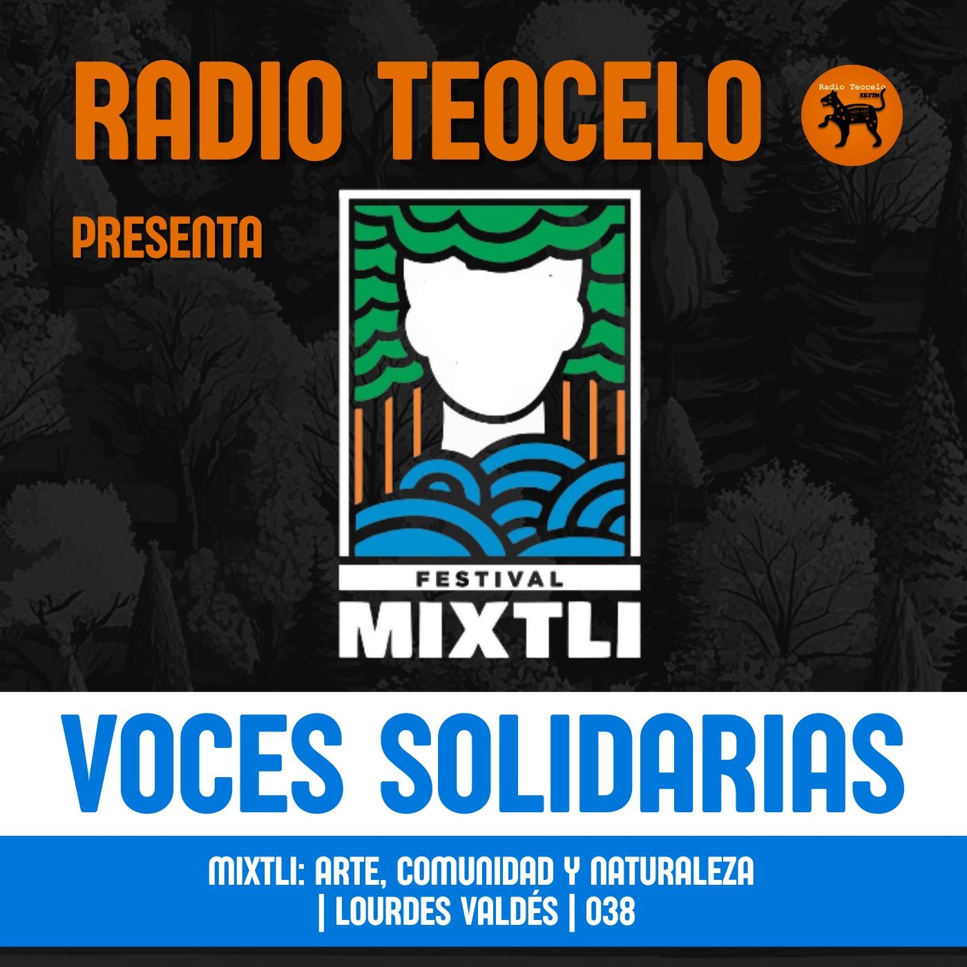 Voces Solidarias