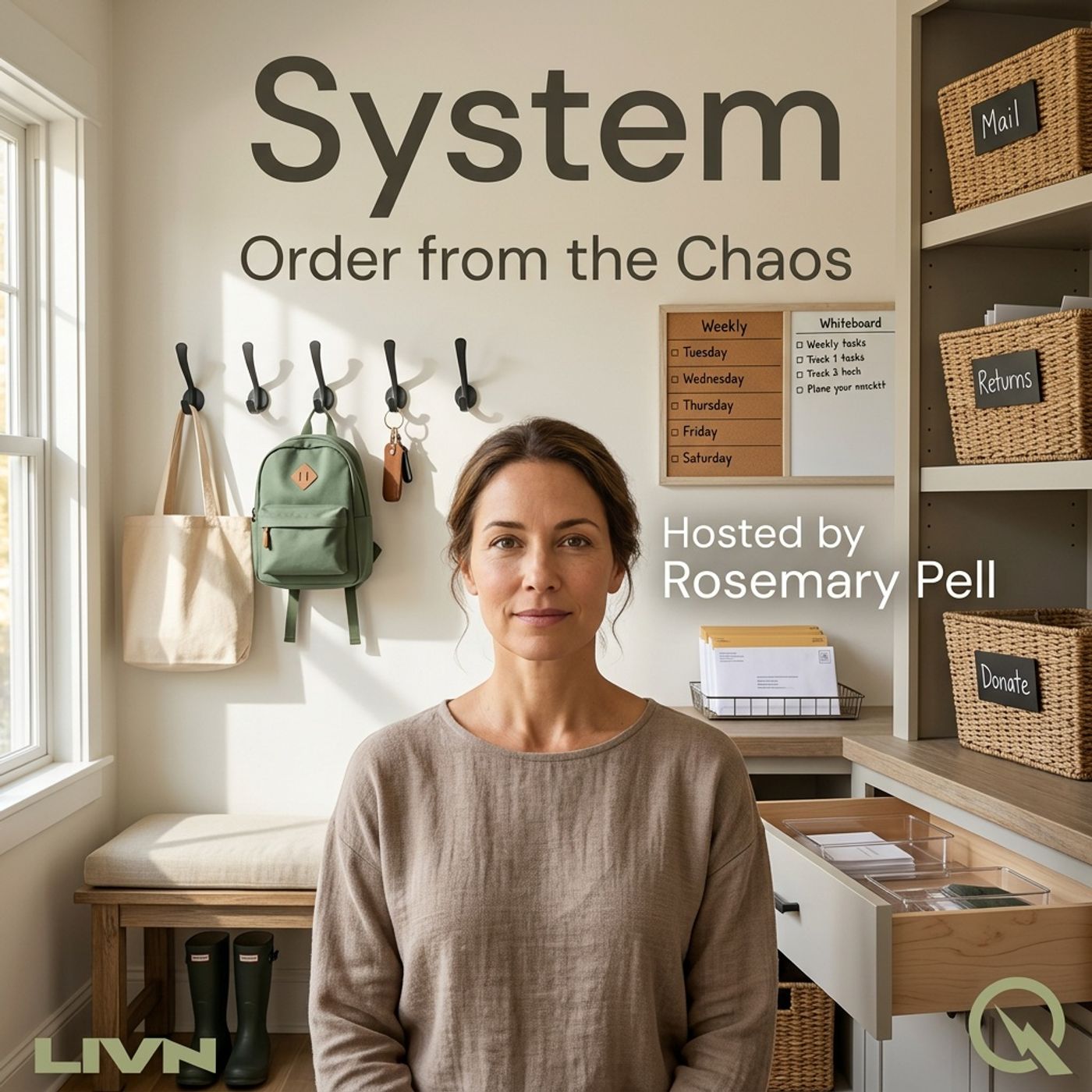 System podcast artwork