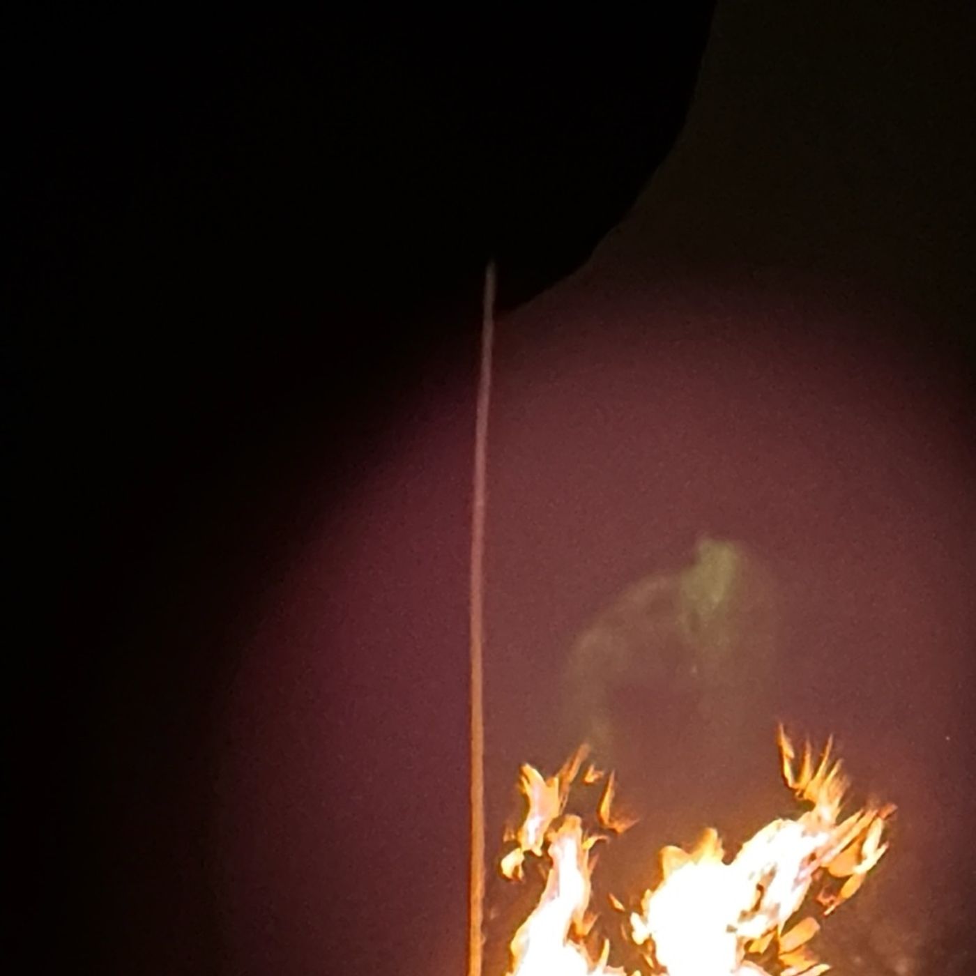 A Wild Horse in the Fire -PoemCast from Alcatraz 2025 A Wild Horse in the Fire -PoemCast from Alcatraz 2025