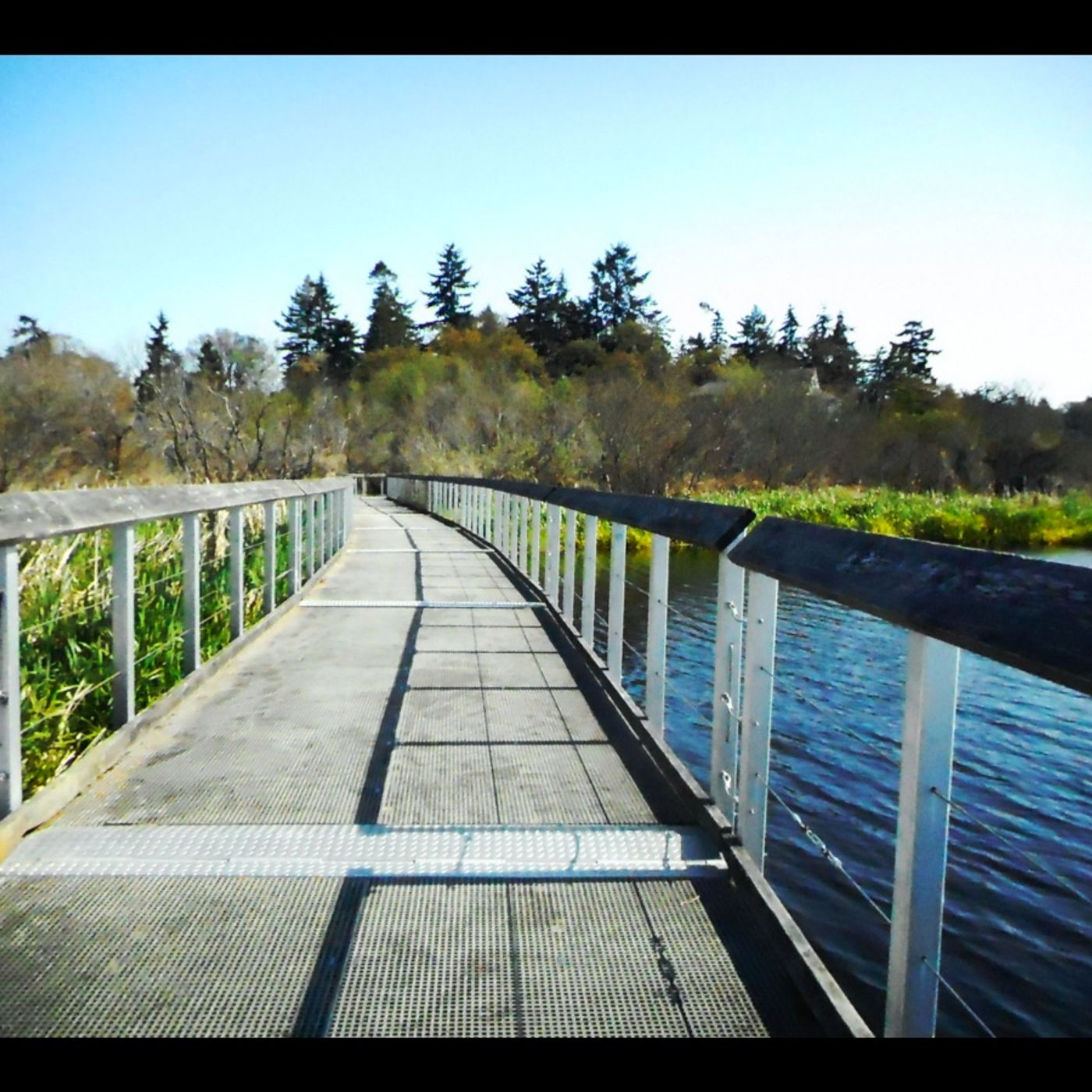 Swan Lake Nature Walk